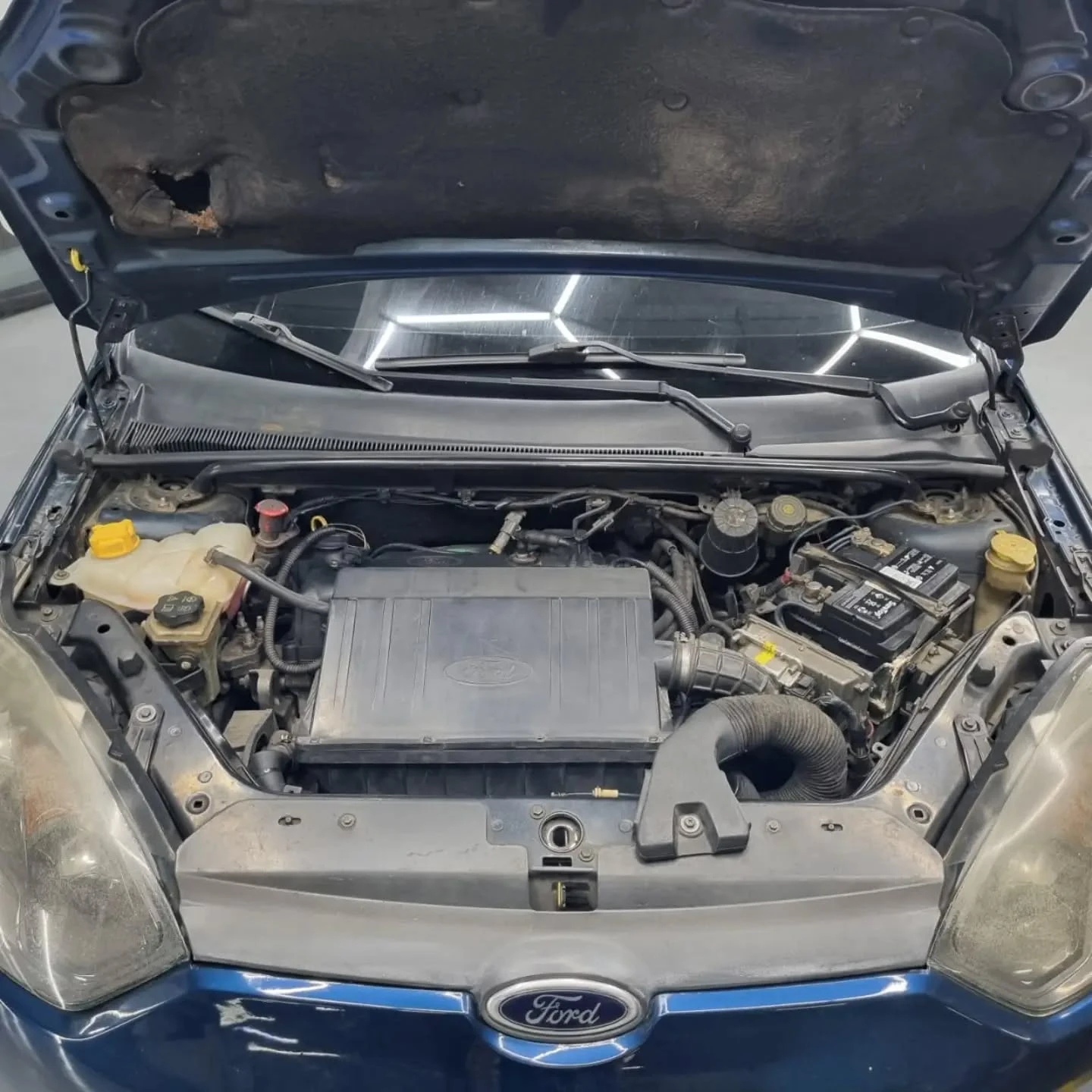 2011 Ford Fiesta Move 2011 — photo 9