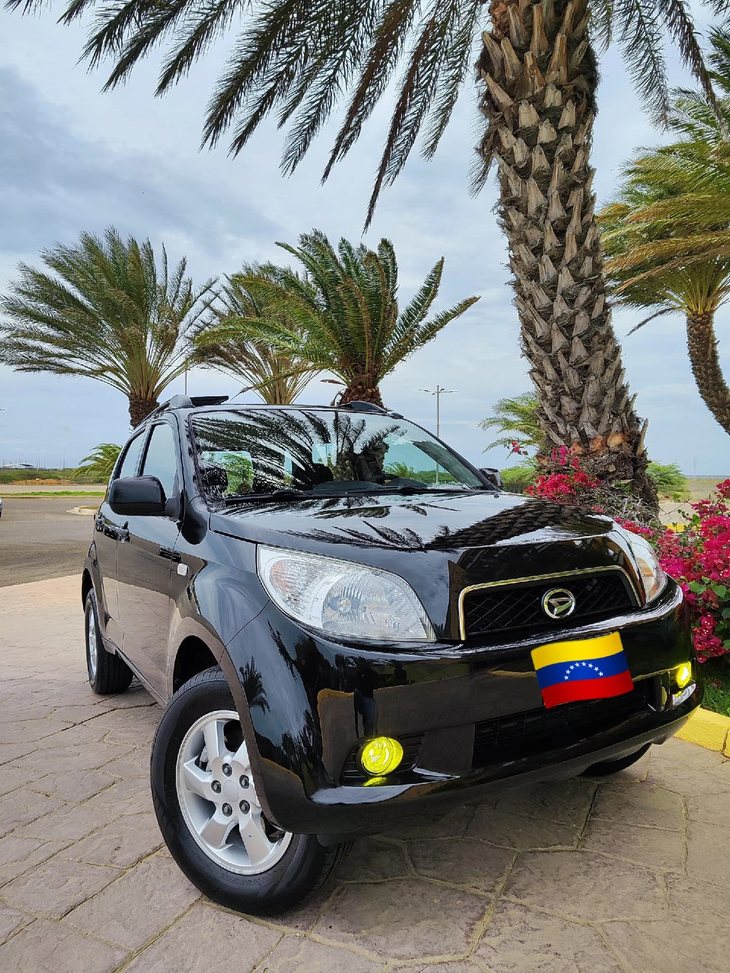 2013 Daihatsu Terios