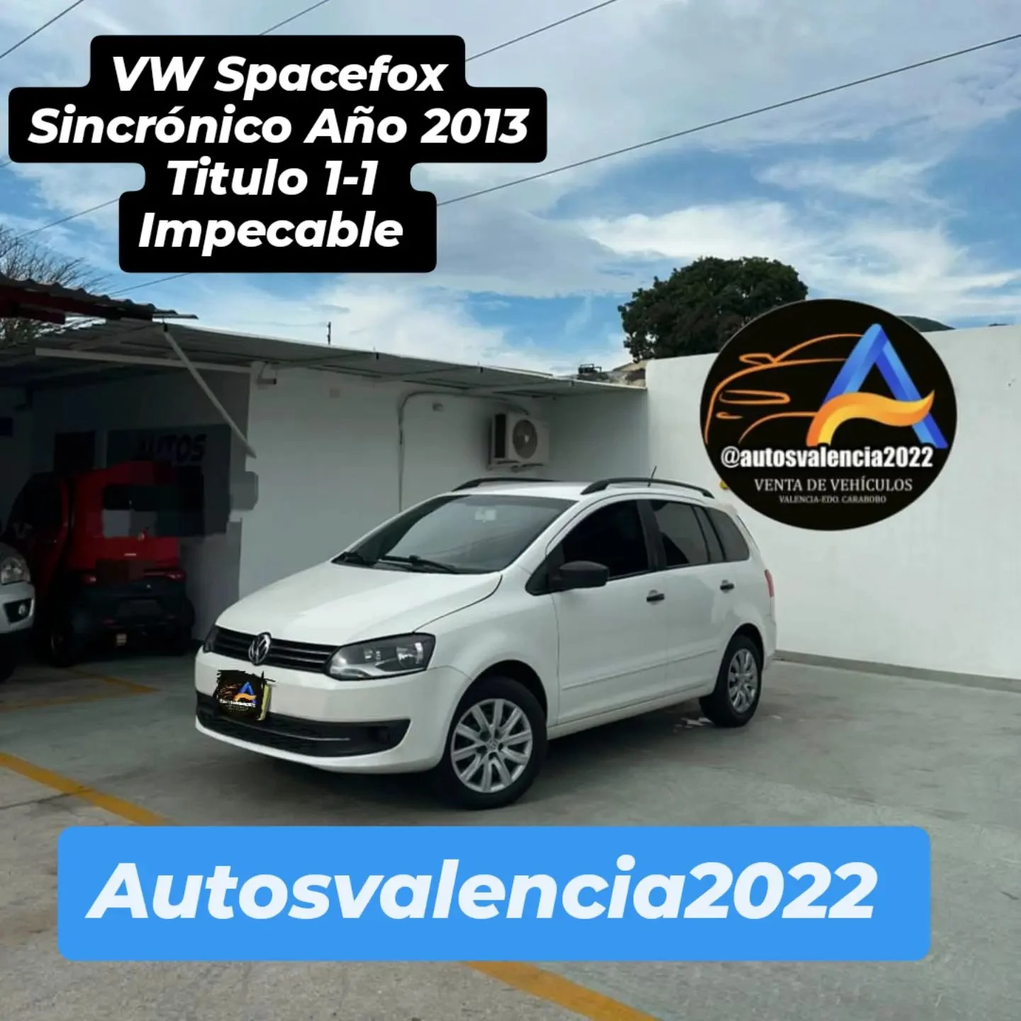 2013 Volkswagen Spacefox