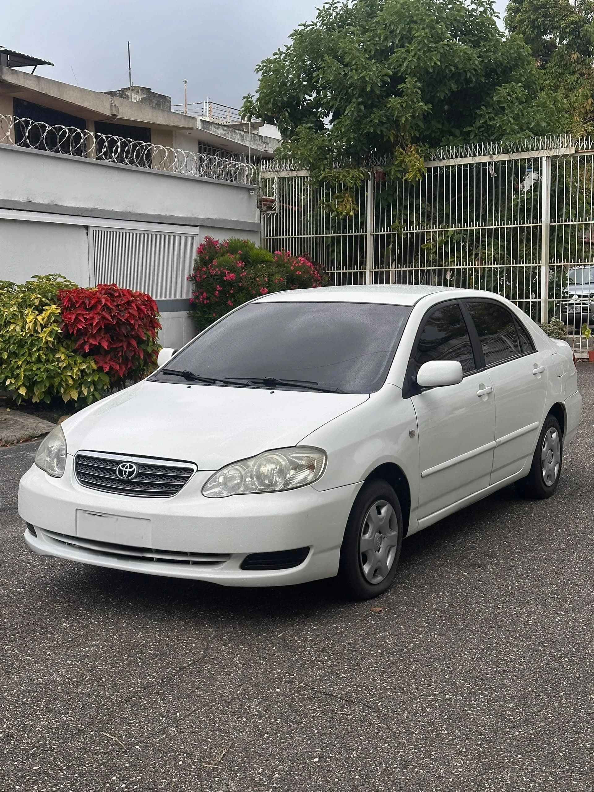 2008 Toyota Corolla