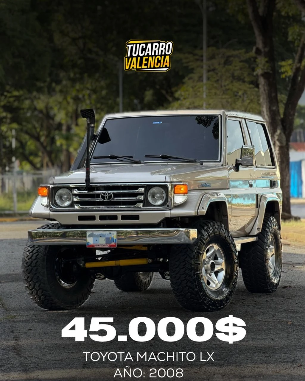 2008 Toyota Macho