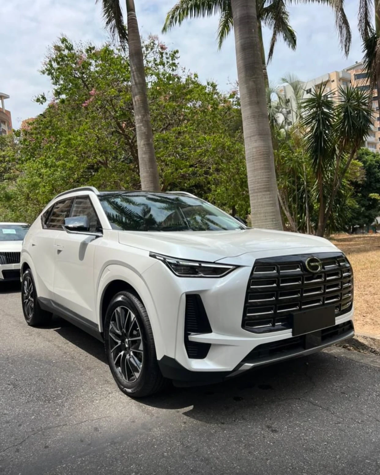 2026 GAC GS4 MAX — foto 2