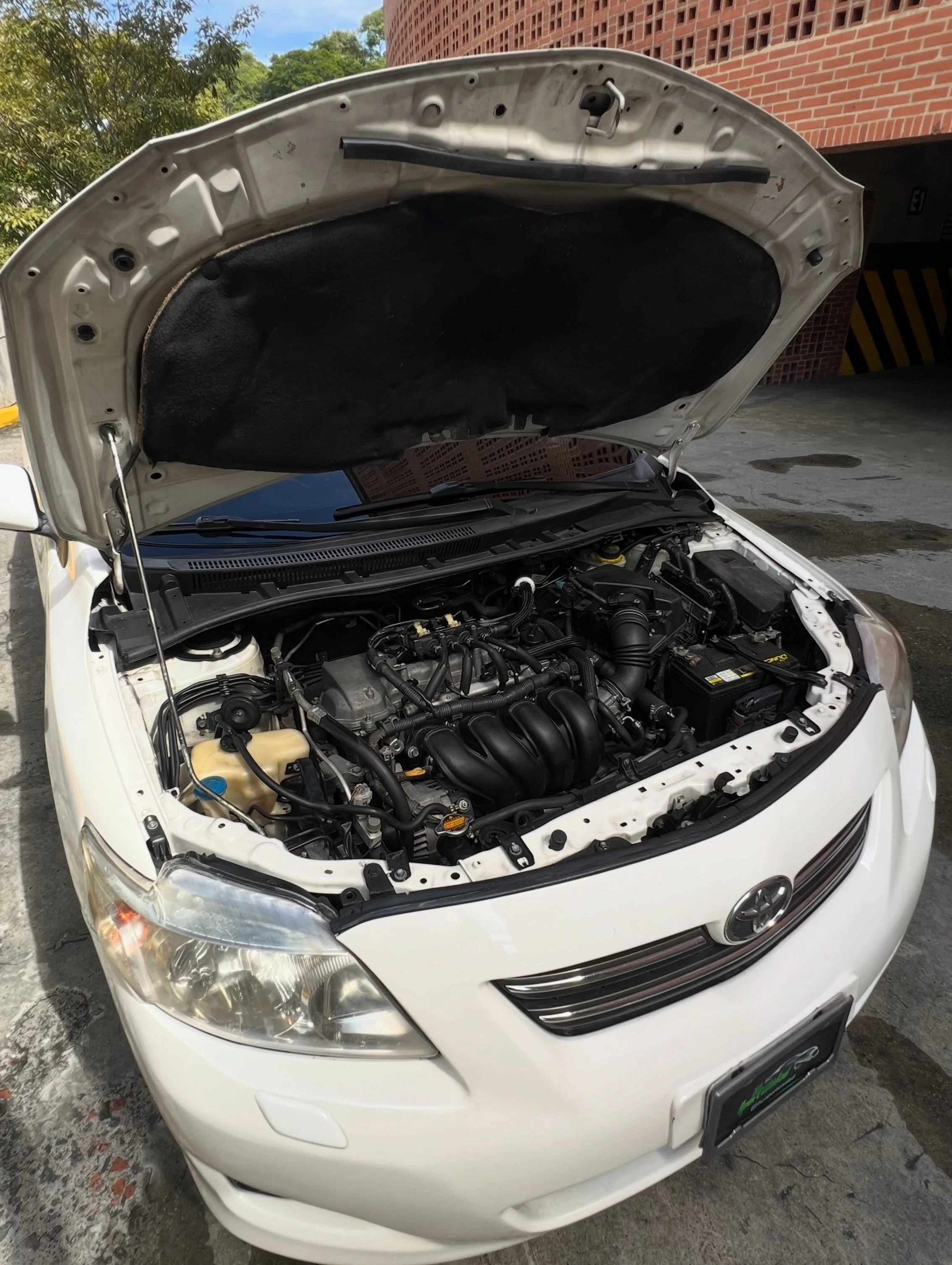 2010 Toyota Corolla GLi — foto 15