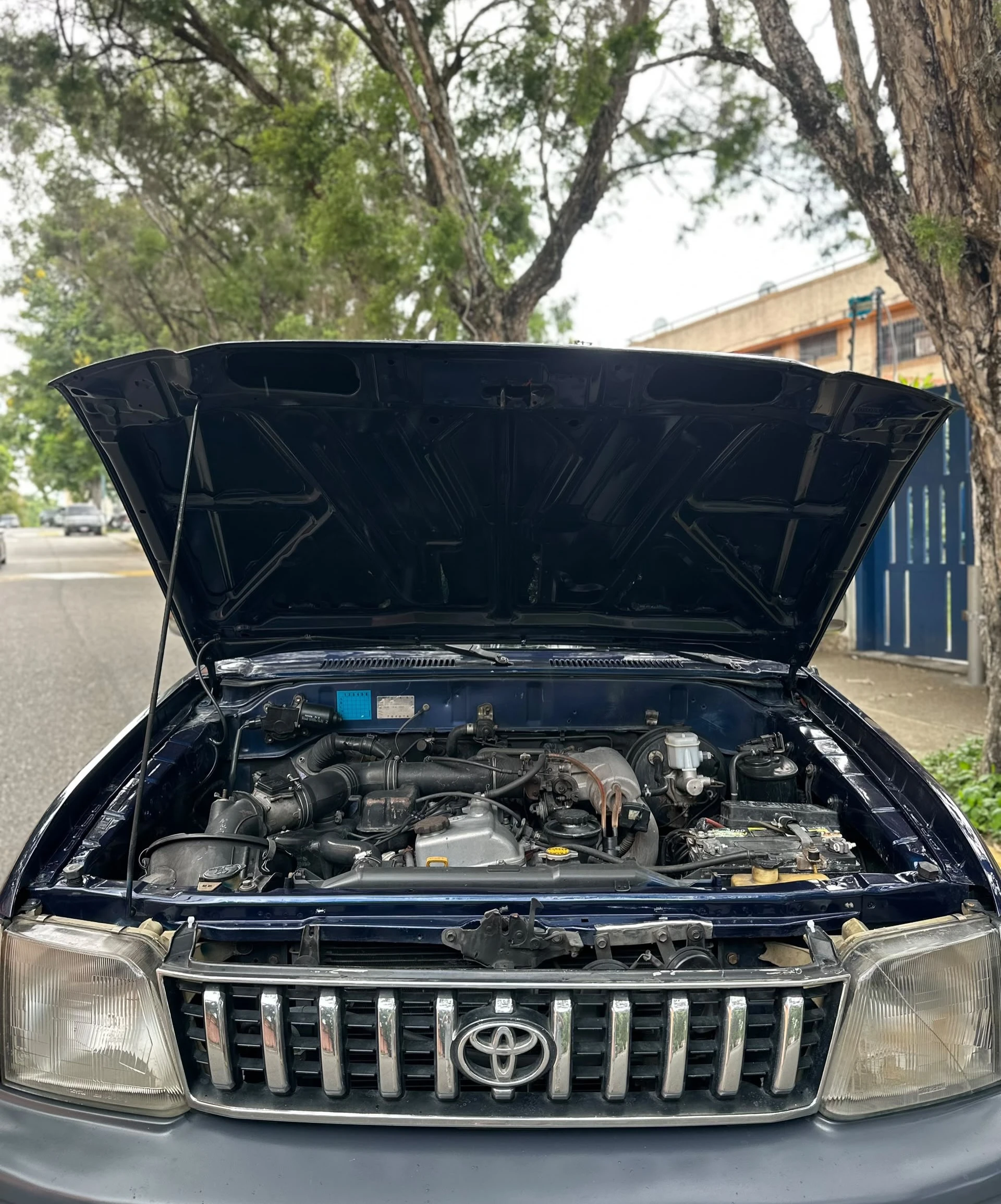 2005 Toyota Merú — foto 10
