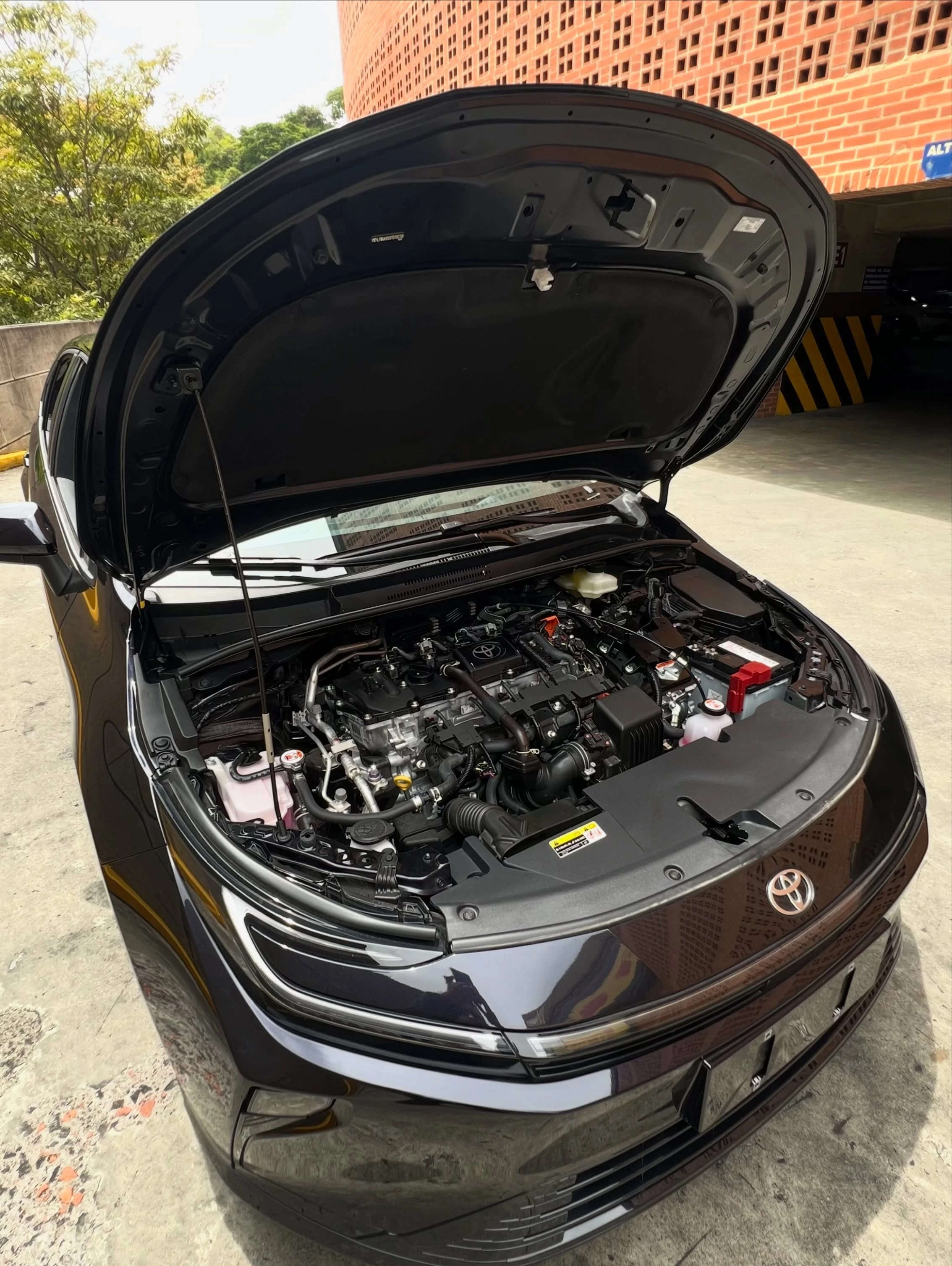 2026 Toyota Corolla HEV — foto 15