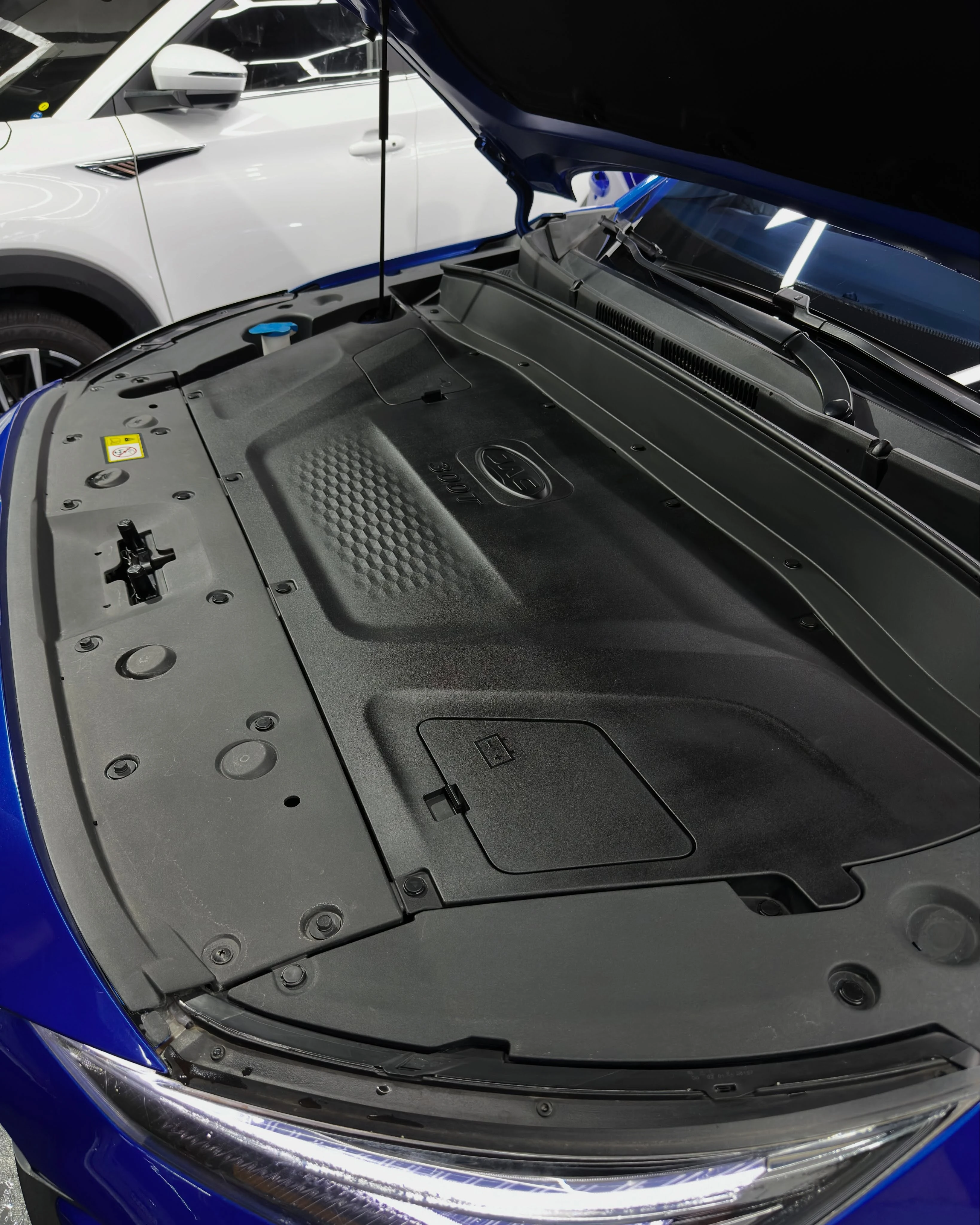 2024 JAC JS8 — foto 9