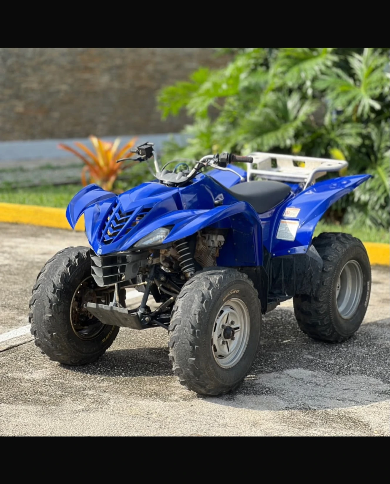 2007 Yamaha WOLVERINE 350