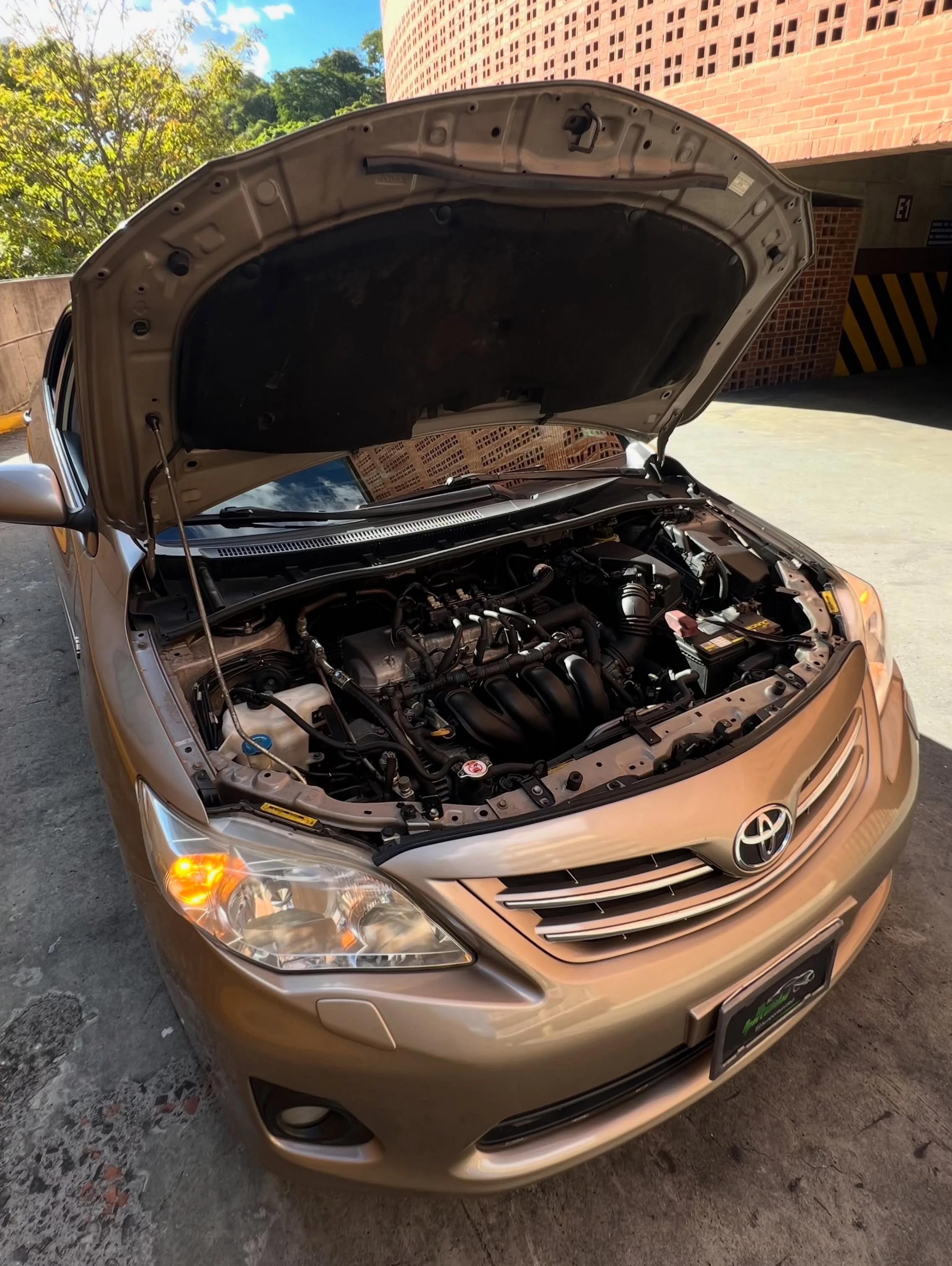 2012 Toyota Corolla GLi — photo 15