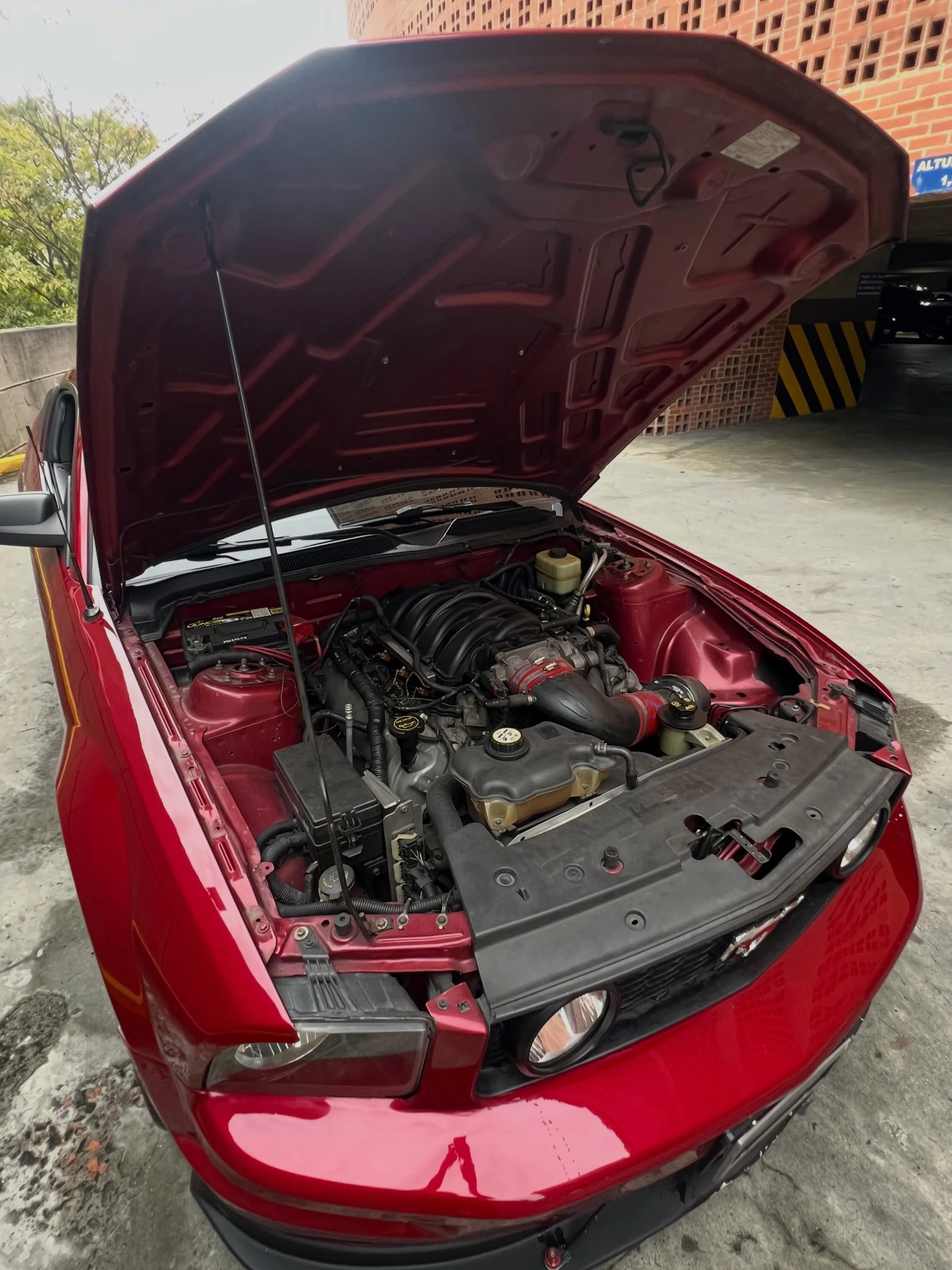 2007 Ford Mustang GT — photo 13