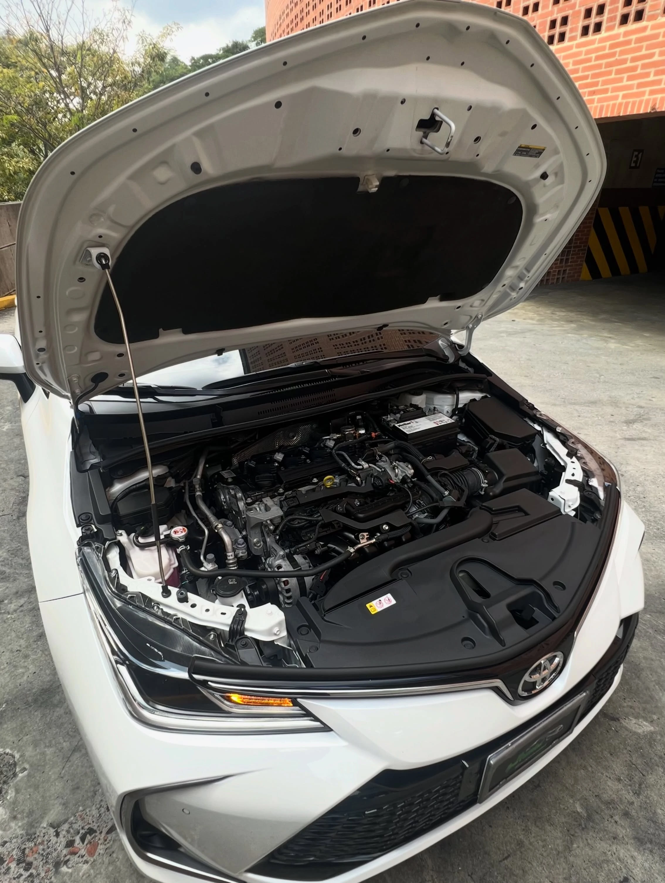 2025 Toyota Corolla SEG — photo 15