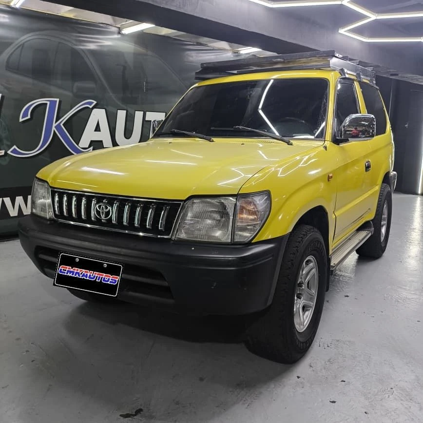 2009 Toyota Merú