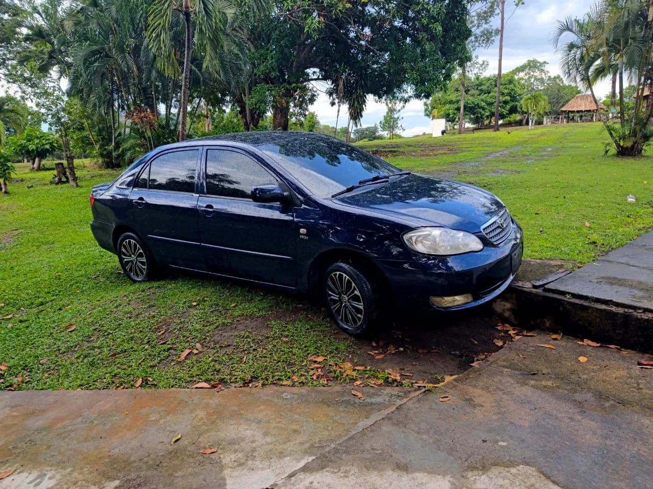 2007 Toyota Corolla