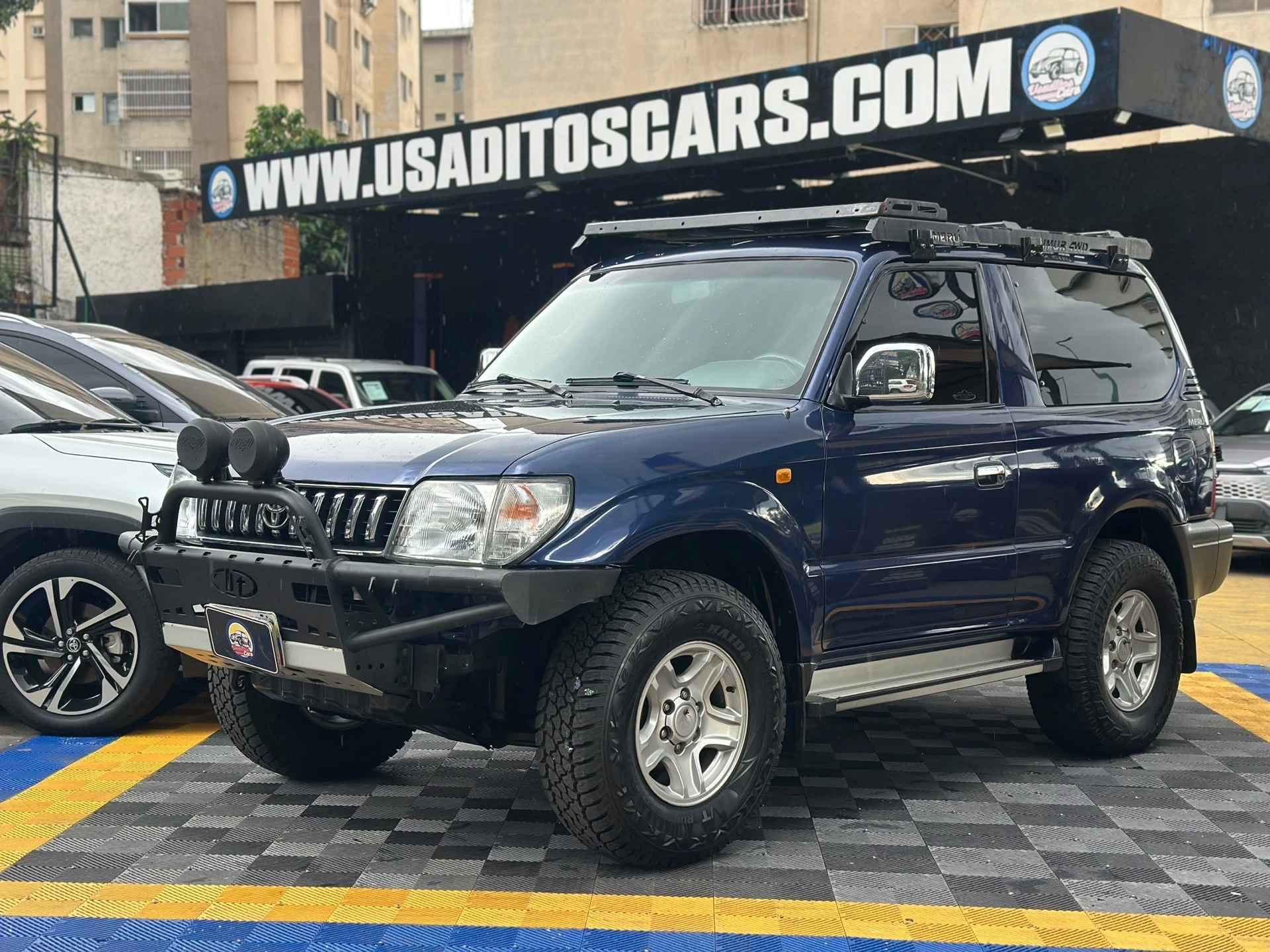 2009 Toyota Merú