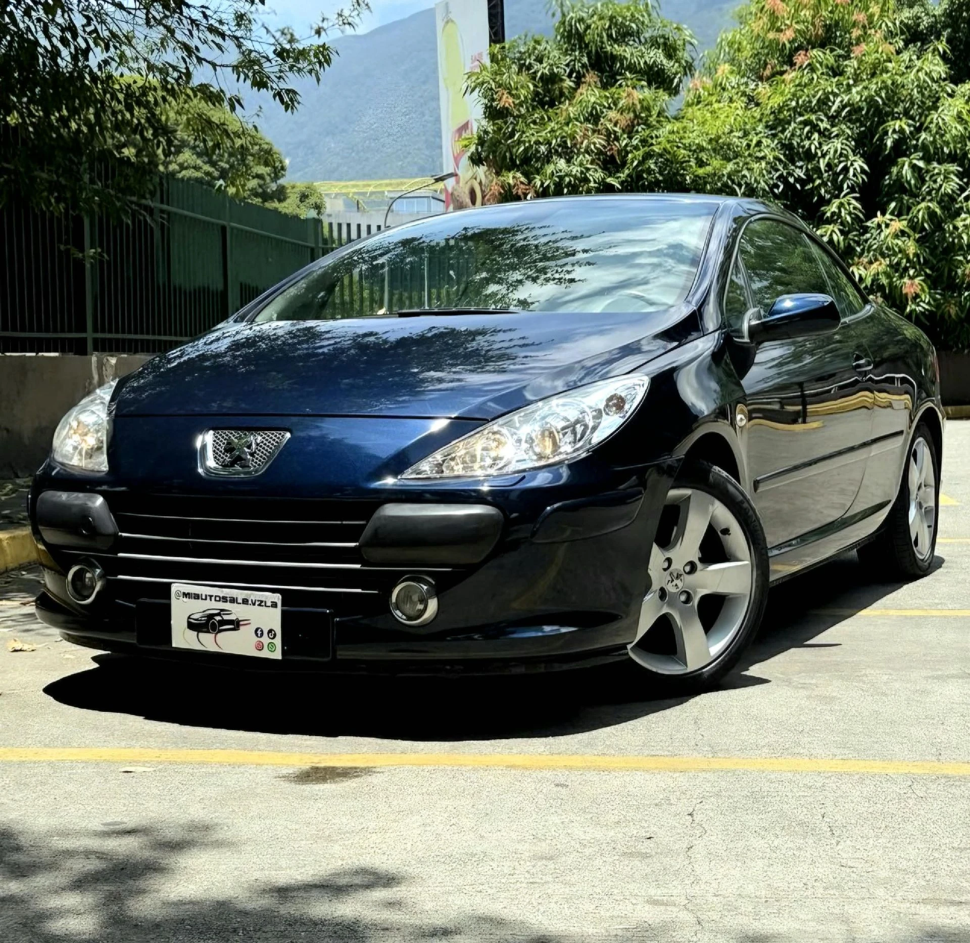 2008 Peugeot 307 SW Convertíble