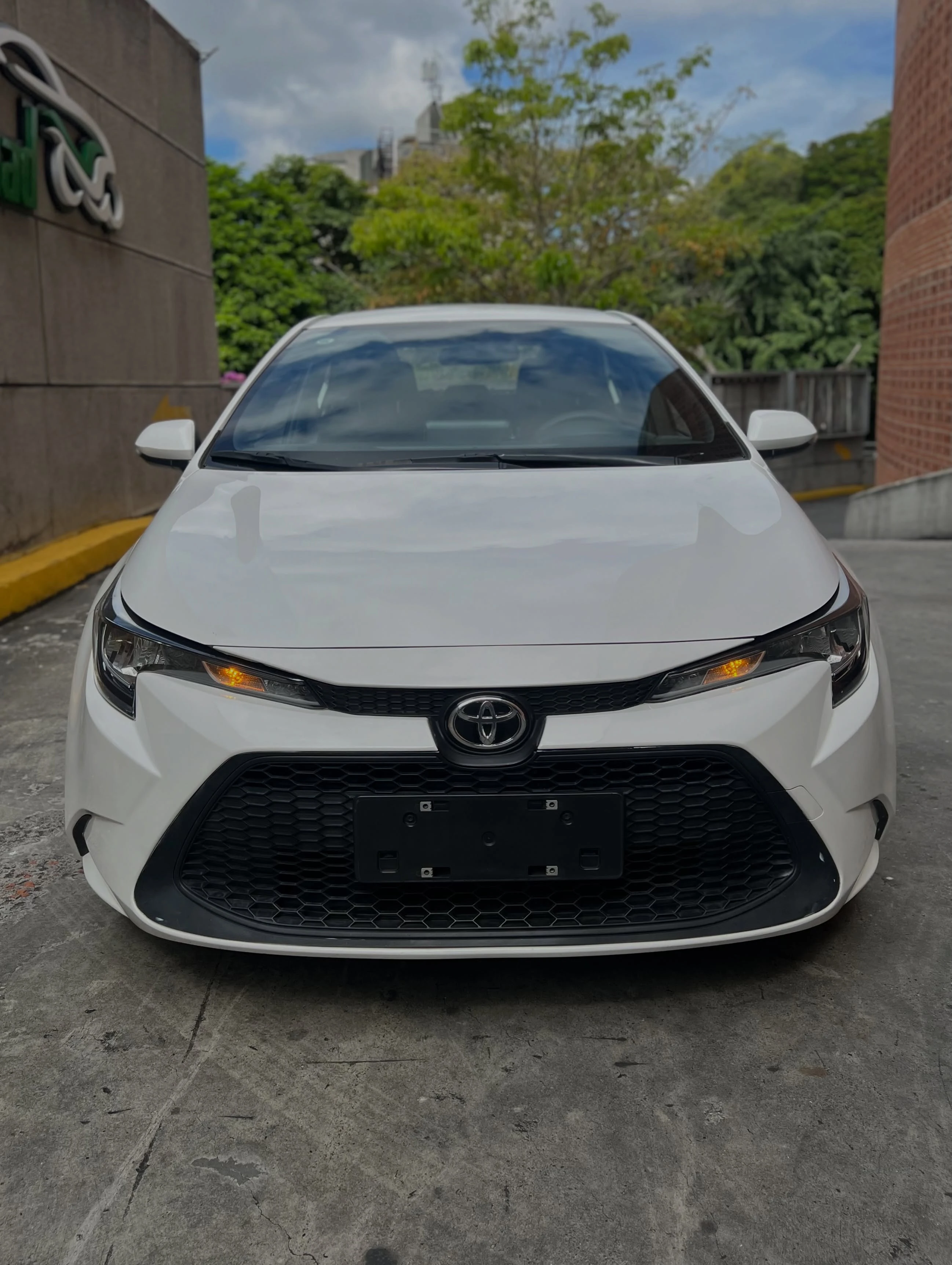 2023 Toyota Corolla Levin