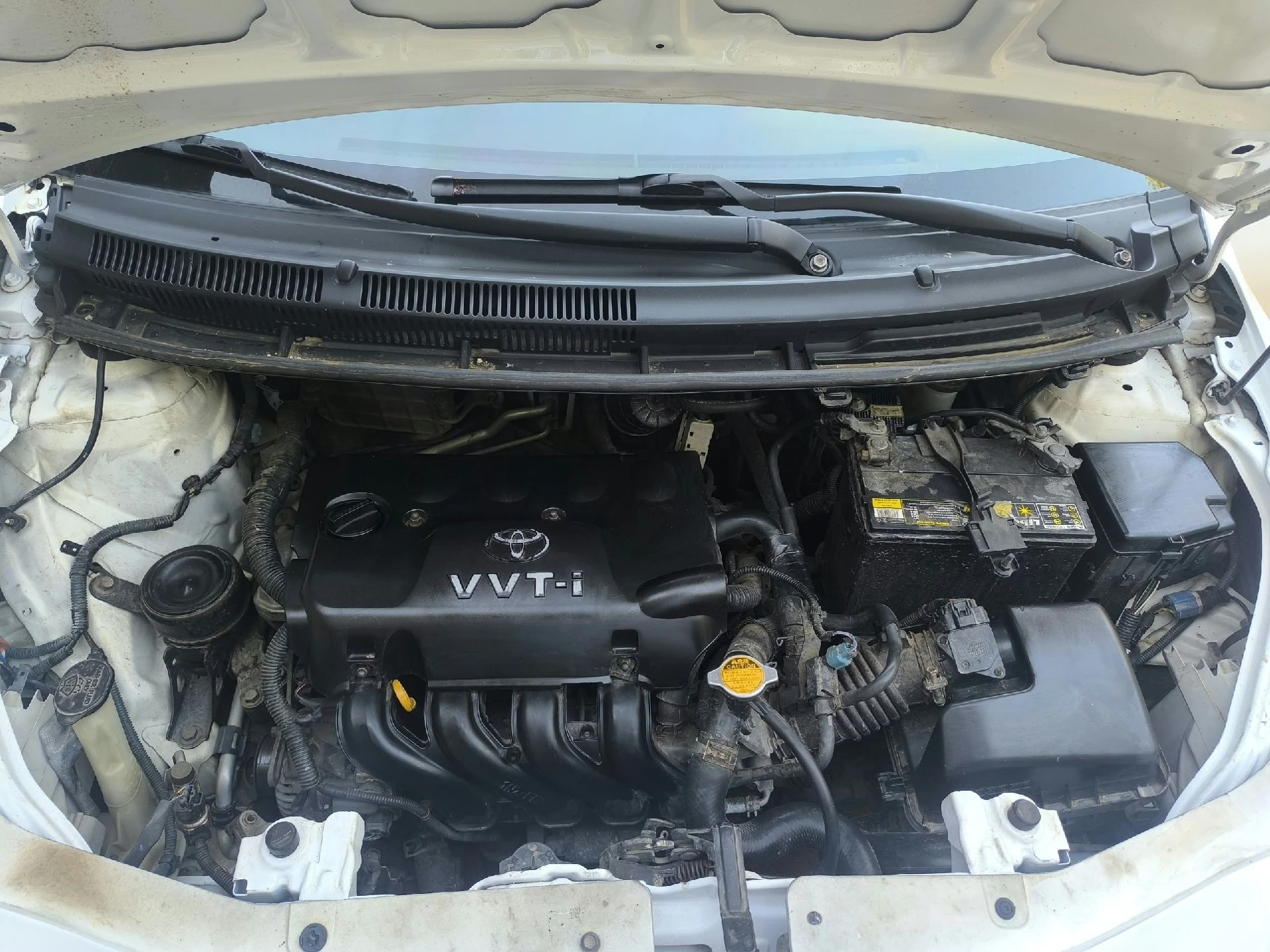 2009 Toyota Yaris Sedán Belta