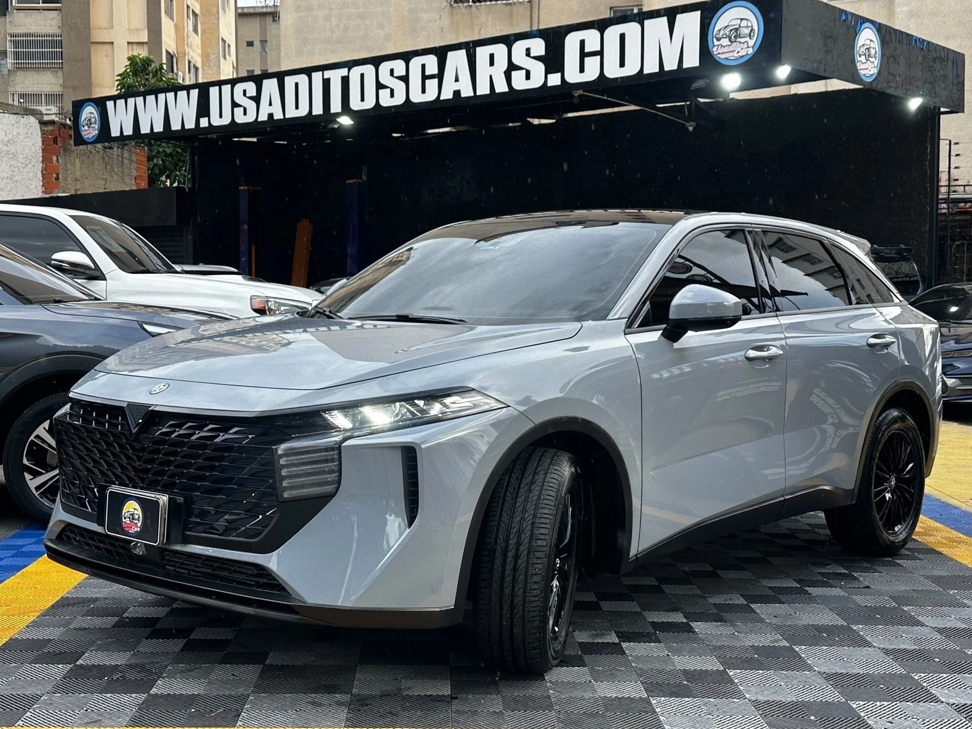 2023 Venucia V-online