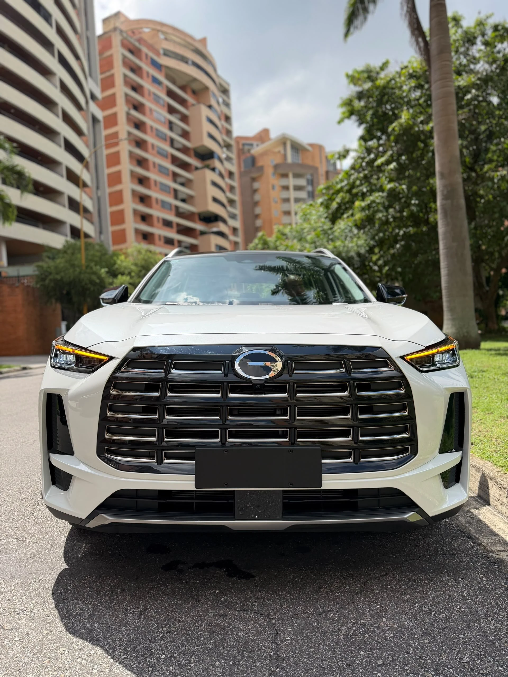 2026 GAC GS4 MAX — photo 2
