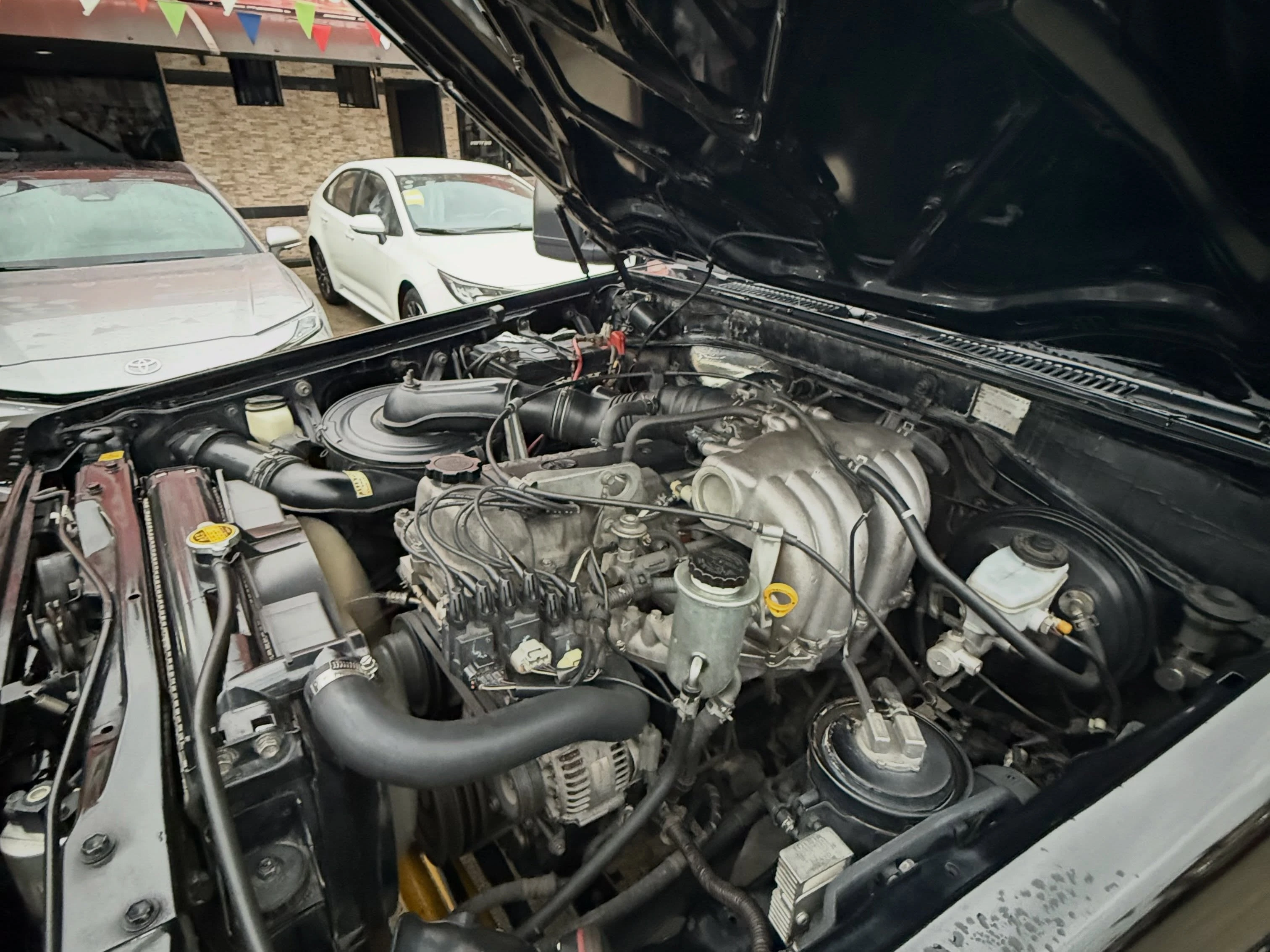 2007 Toyota MACHITO LX — photo 12