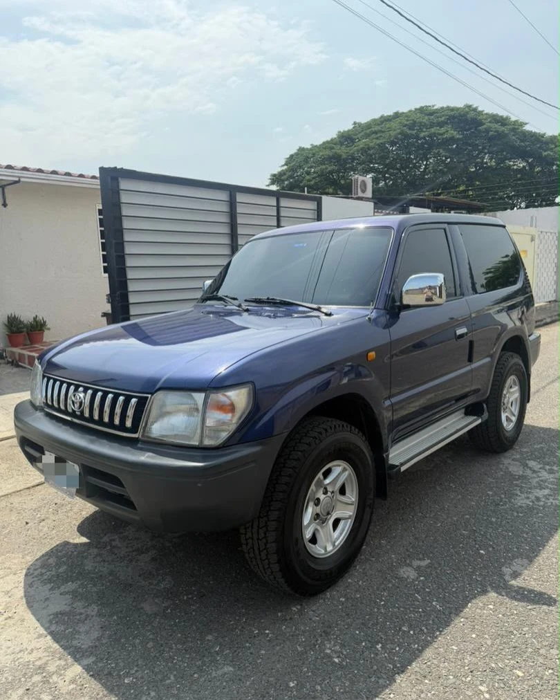 2009 Toyota Merú