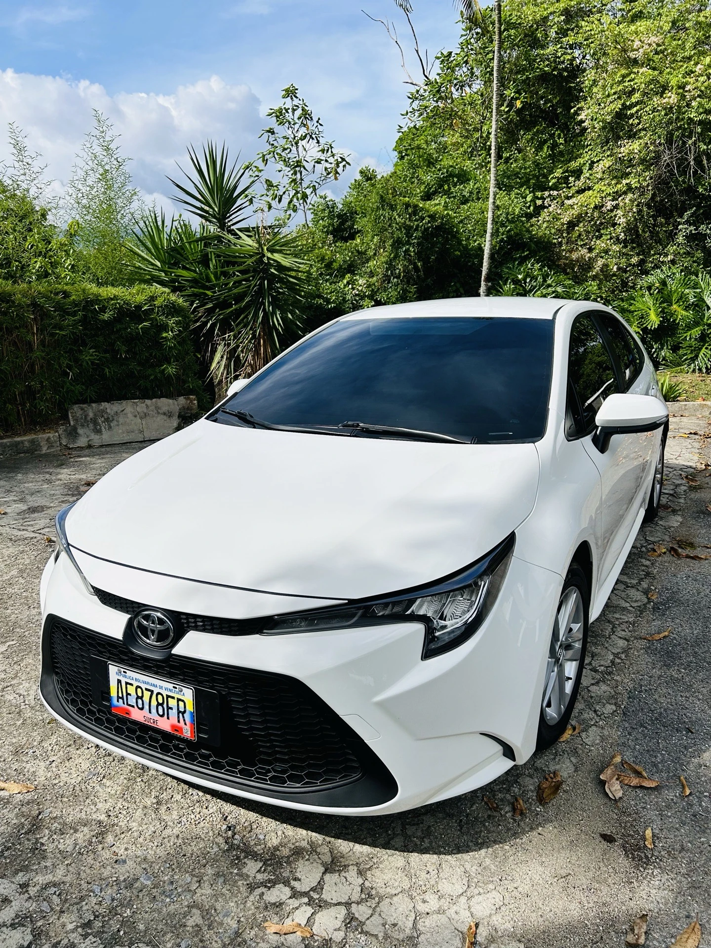 2022 Toyota Corolla — foto 2