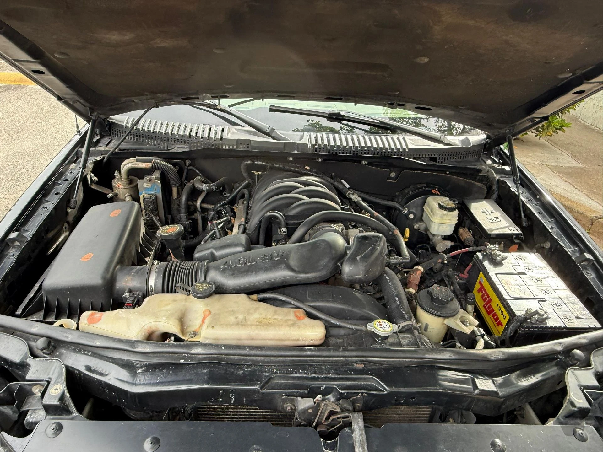 2009 Ford Explorer Eddie Bauer — foto 7