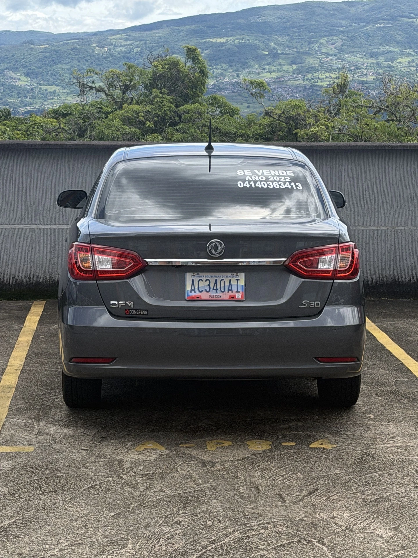 2022 Dongfeng S30 — photo 5