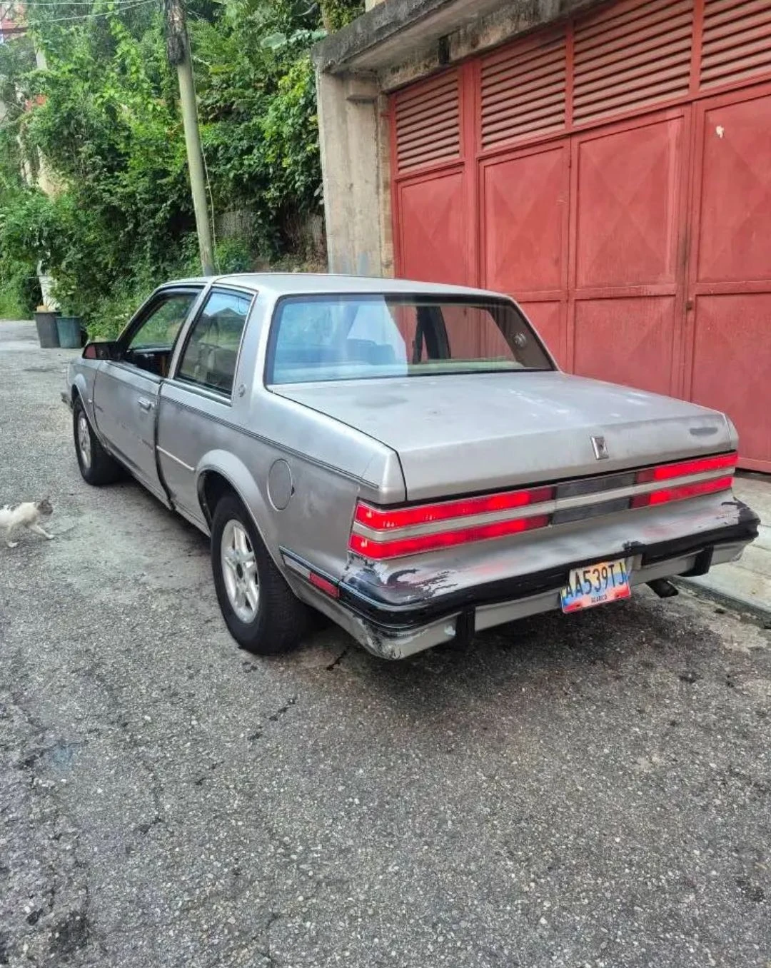 1984 Chevrolet Celebrity Conservado — photo 5