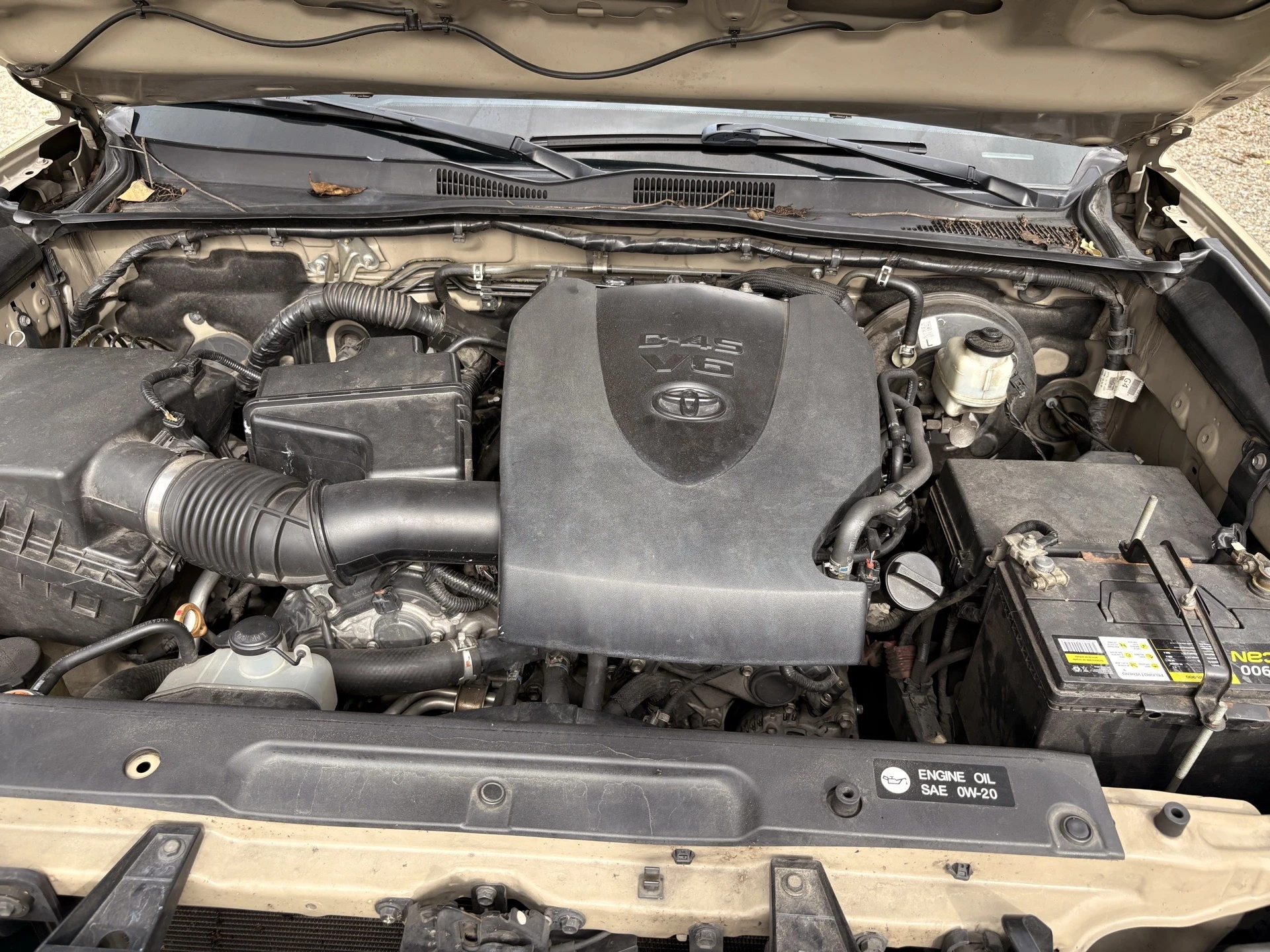 2019 Toyota Tacoma TRD SPORT 4x2 — photo 8
