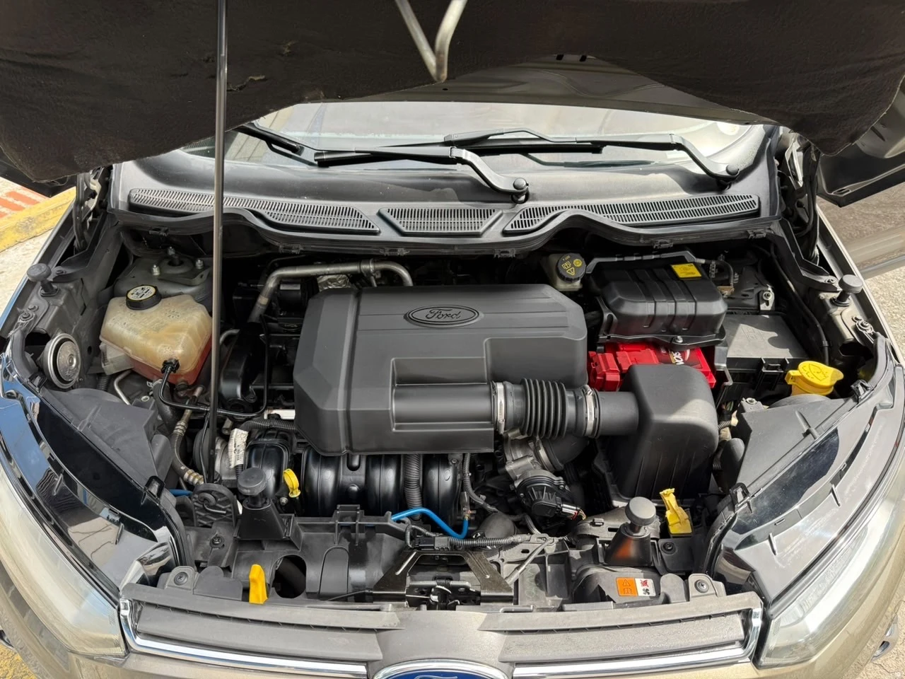 2015 Ford Ecosport Sport wagon — photo 11