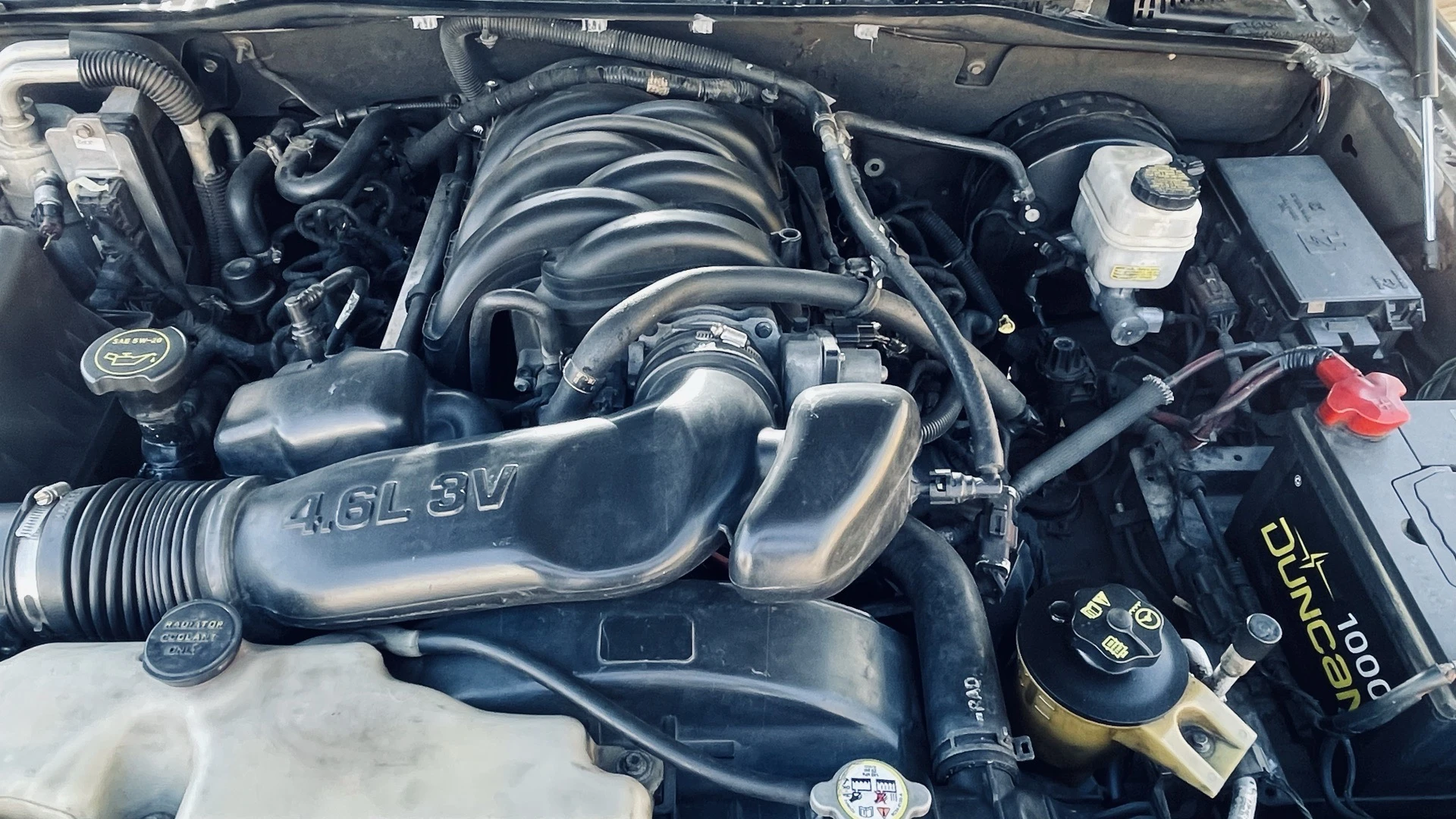 2008 Ford Explorer Eddie Bauer — photo 4