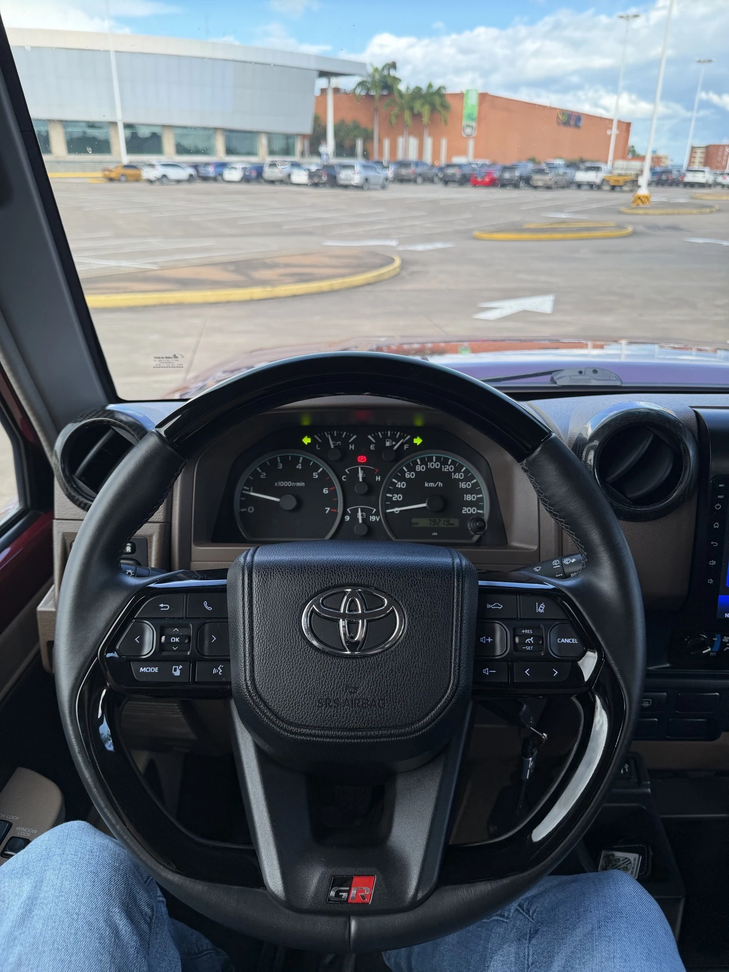 2019 Toyota Macho LC 71 LX V6 — photo 14