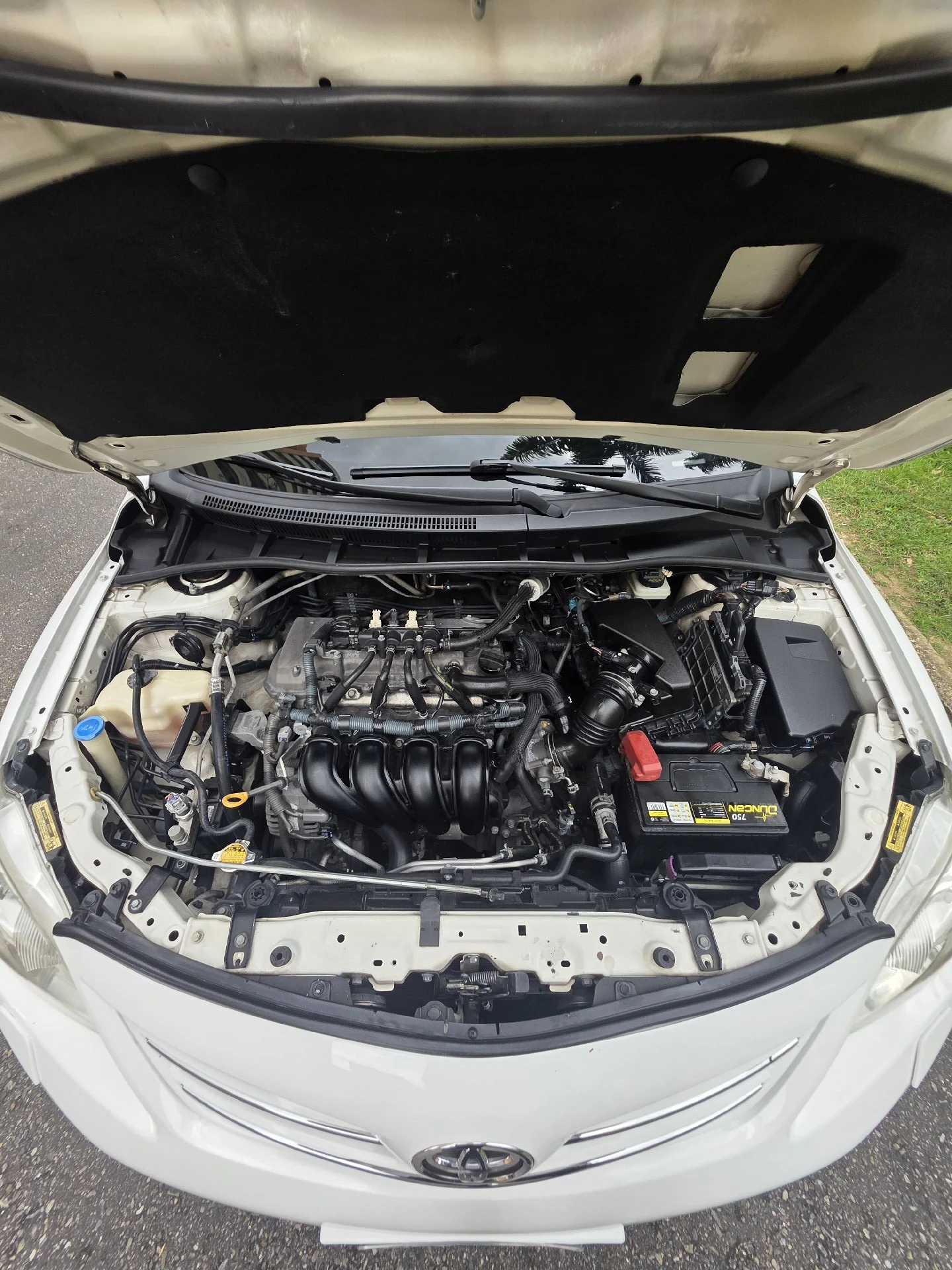 2014 Toyota Corolla GLI — photo 2