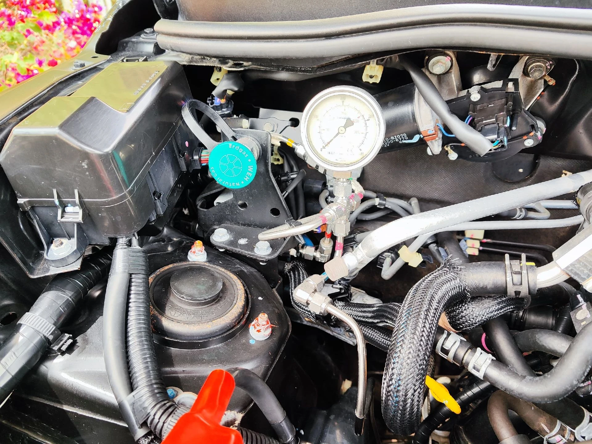 2013 Daihatsu Terios — photo 14