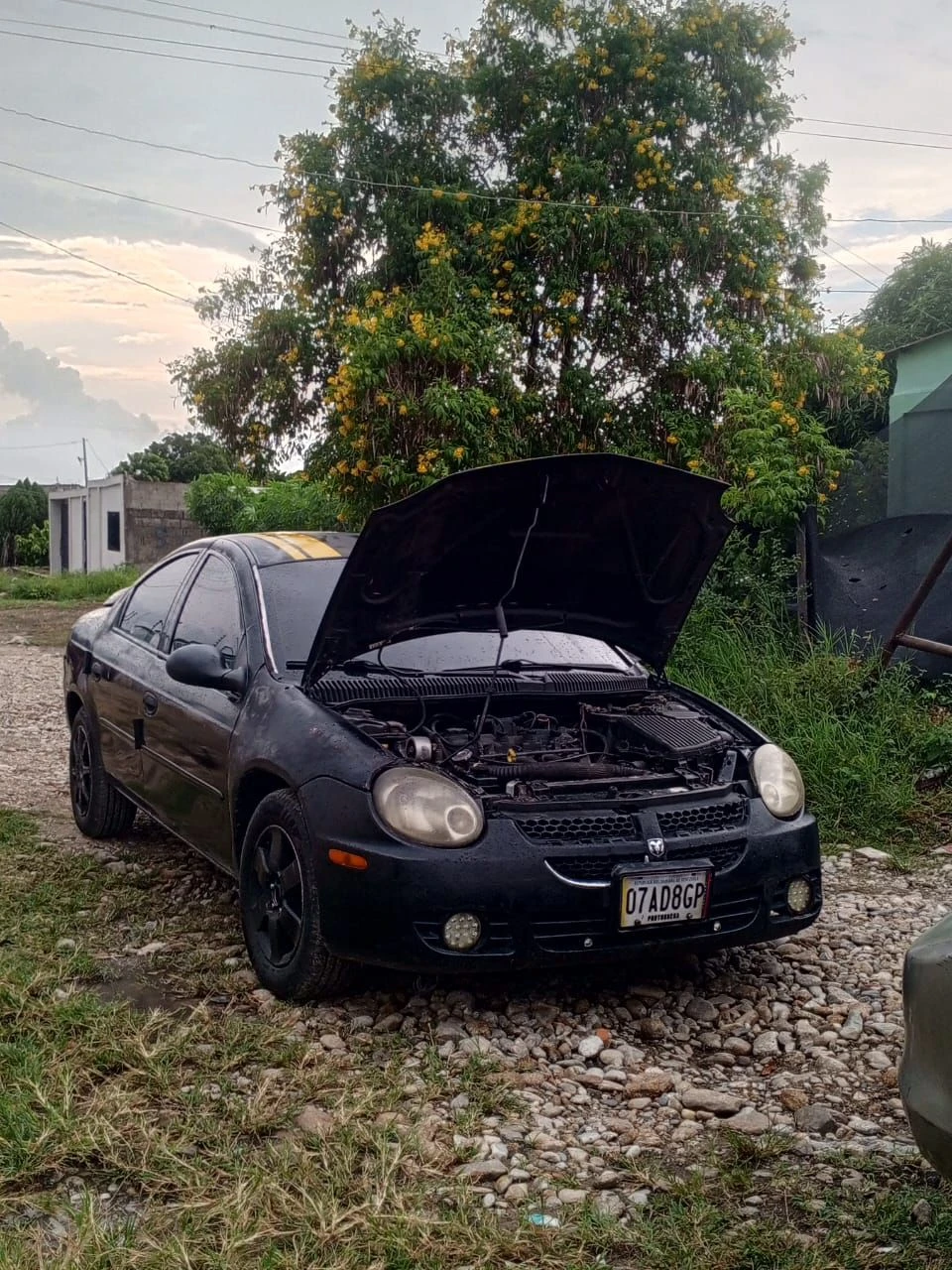2006 Dodge Neon LE — photo 2