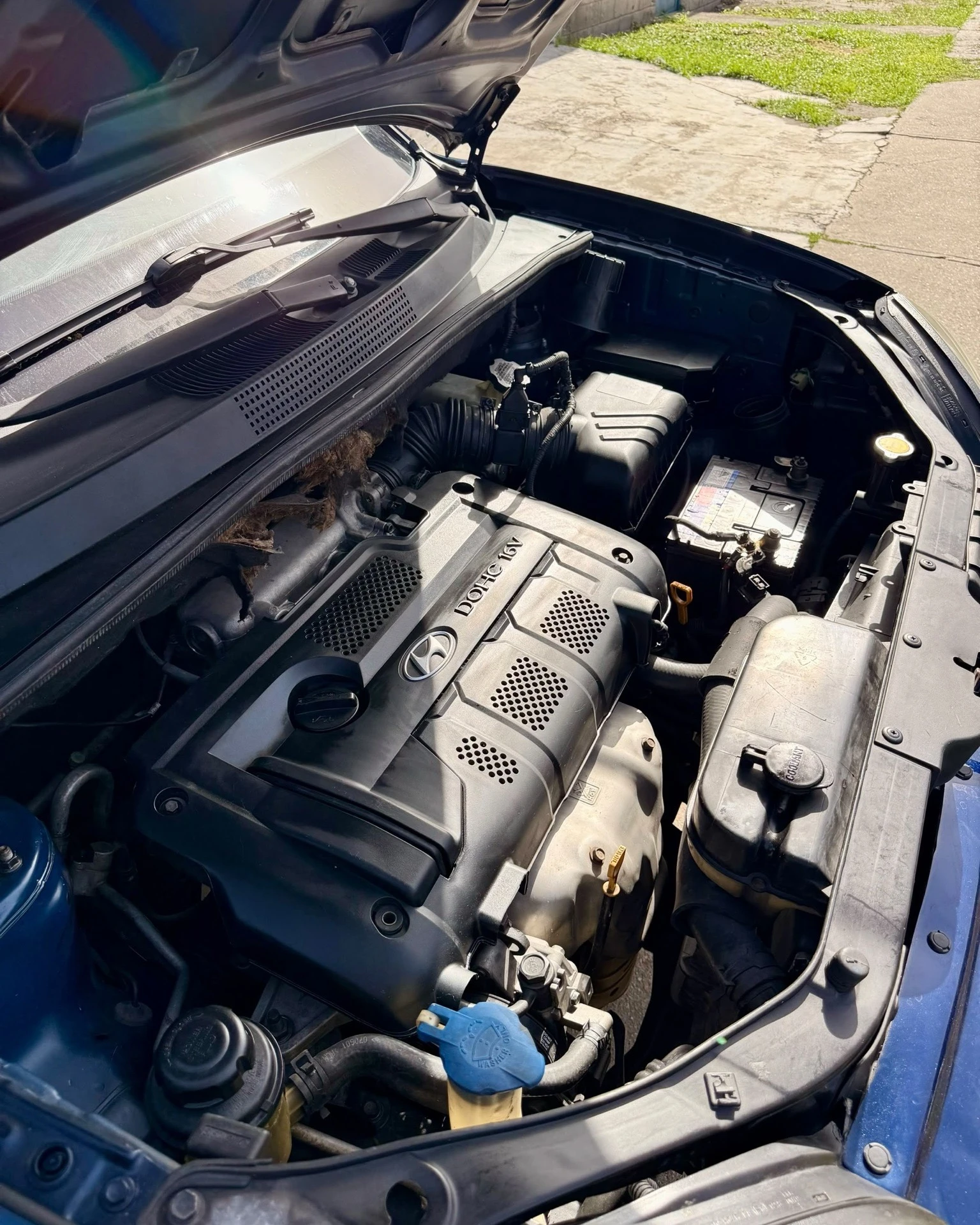 2008 Hyundai Tucson 2.0 — photo 8