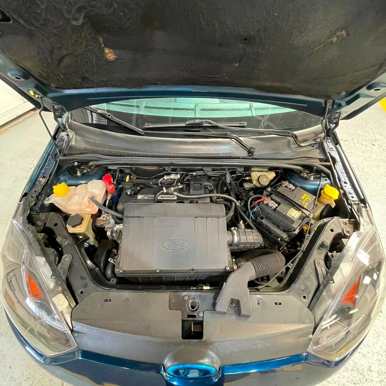 2011 Ford Fiesta Move — photo 10