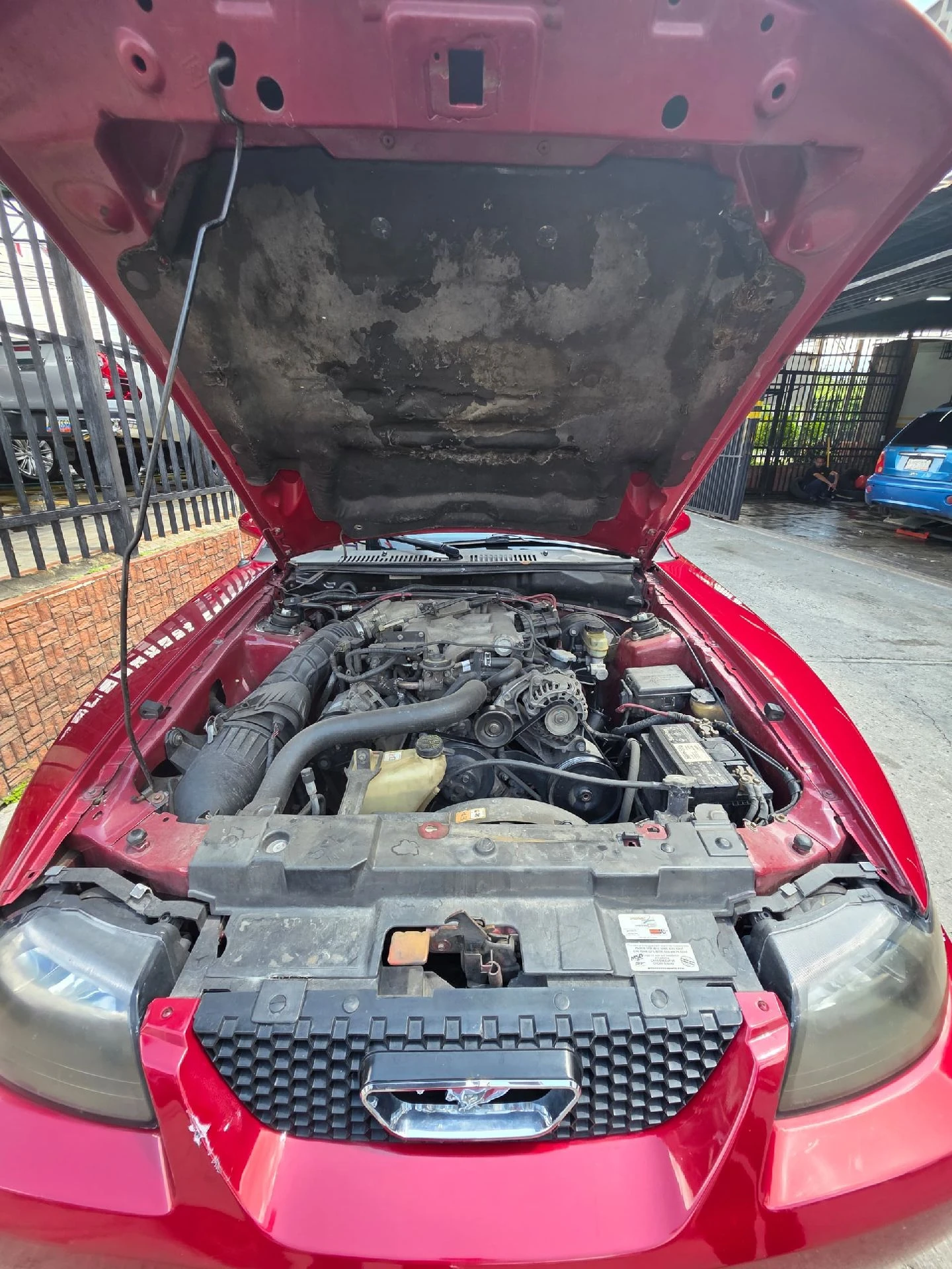 2000 Ford Mustang 2.000 — foto 8