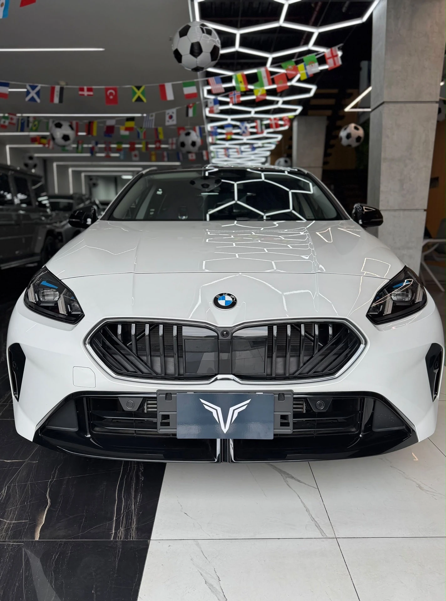 2025 BMW 225L — foto 10