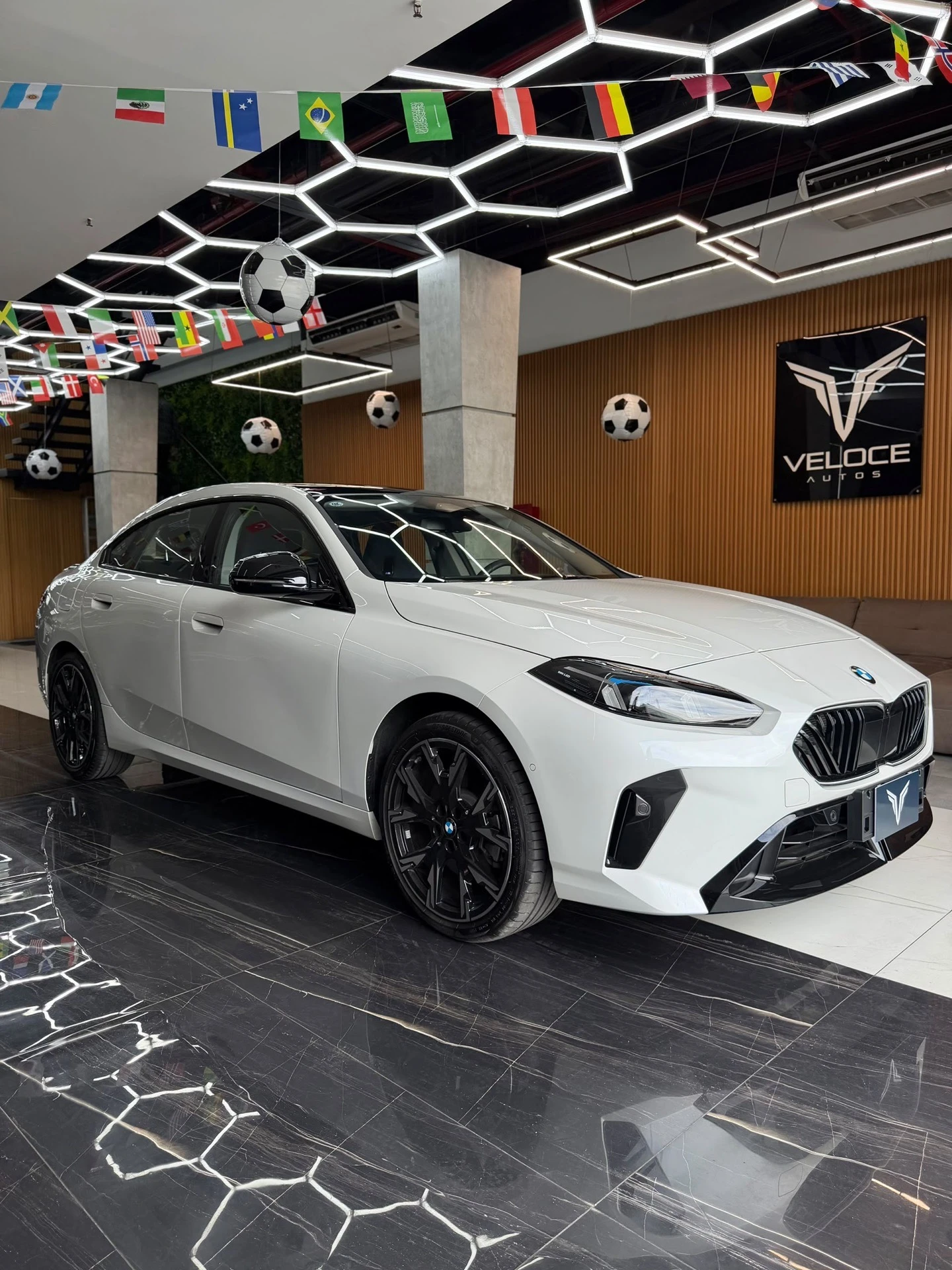 2025 BMW 225L — foto 11