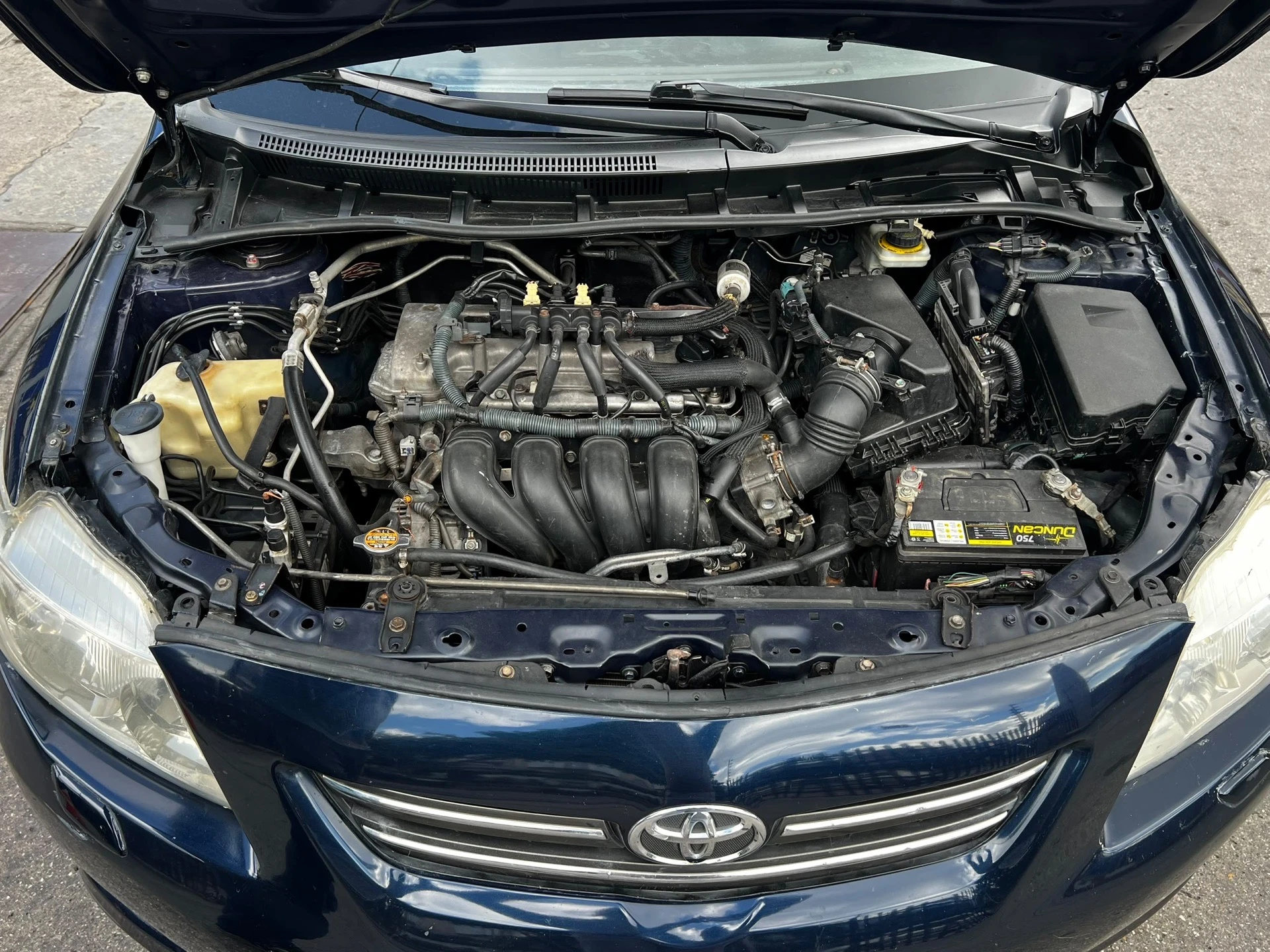 2010 Toyota Corolla GLI — foto 4