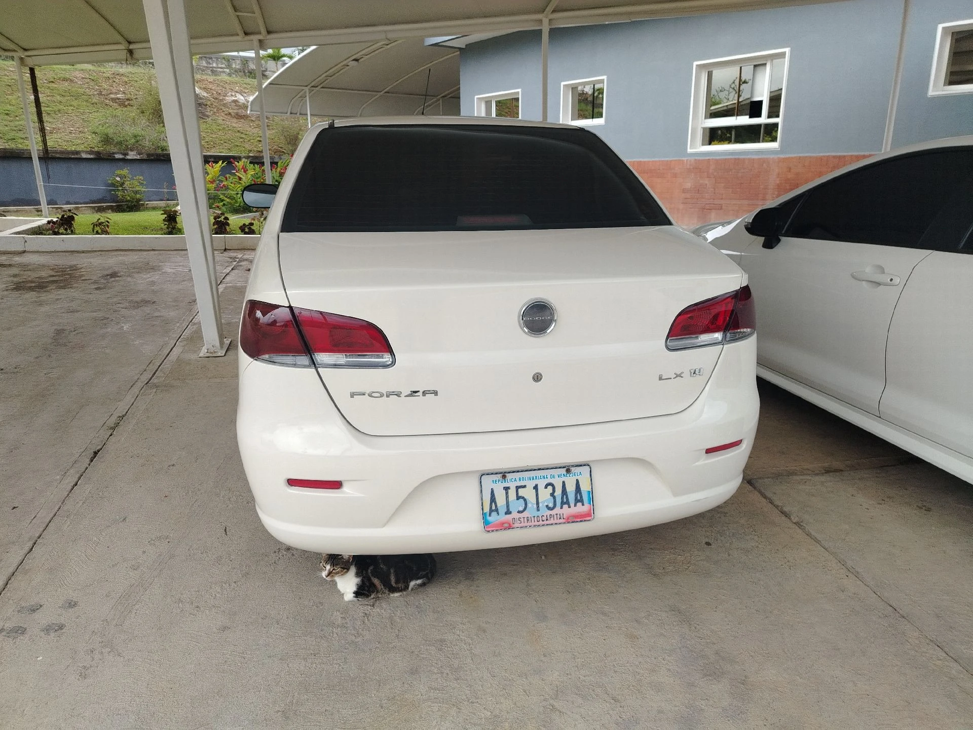 2013 Dodge Forza Lx — foto 21