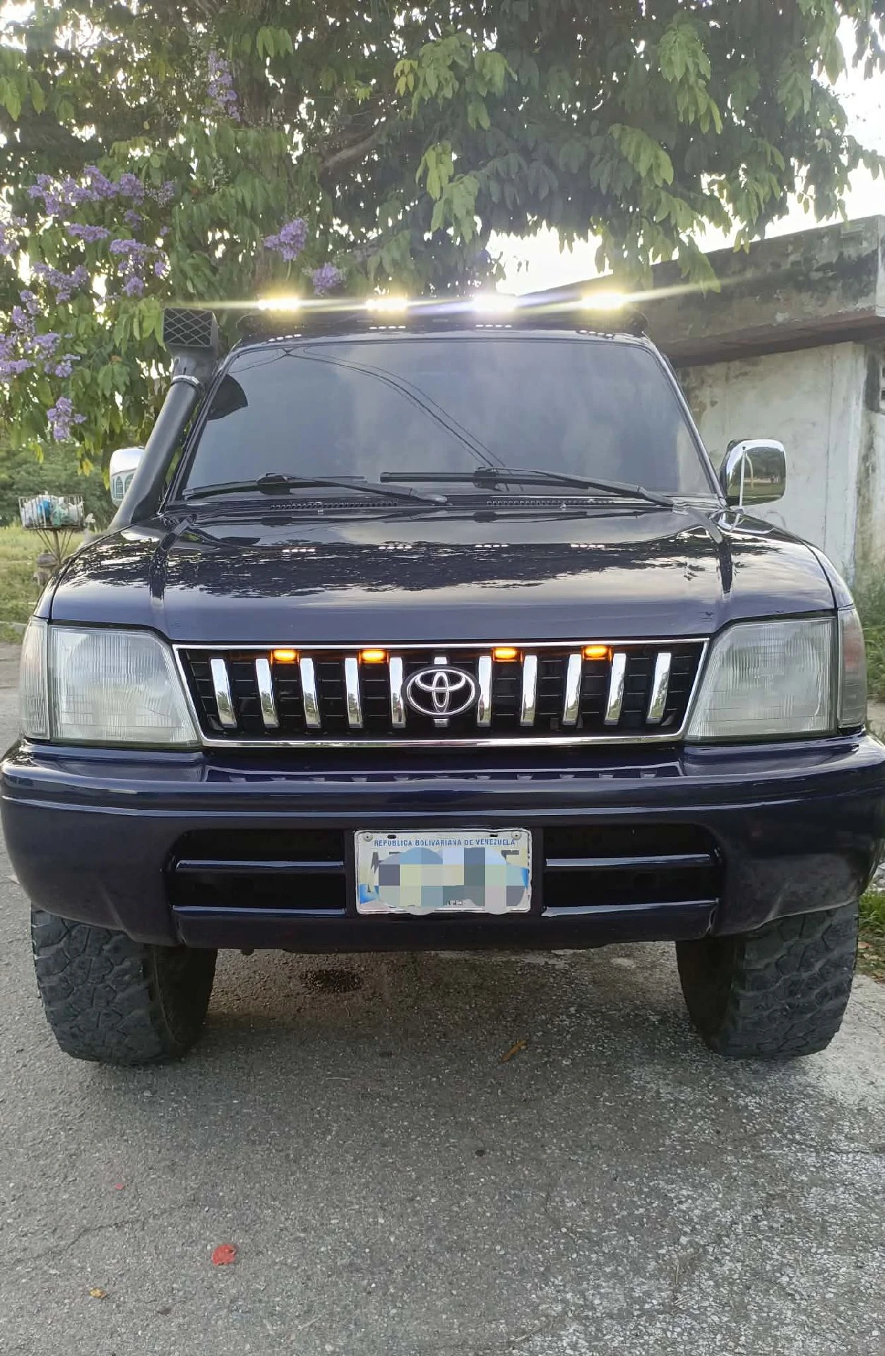 2005 Toyota Merú — foto 2