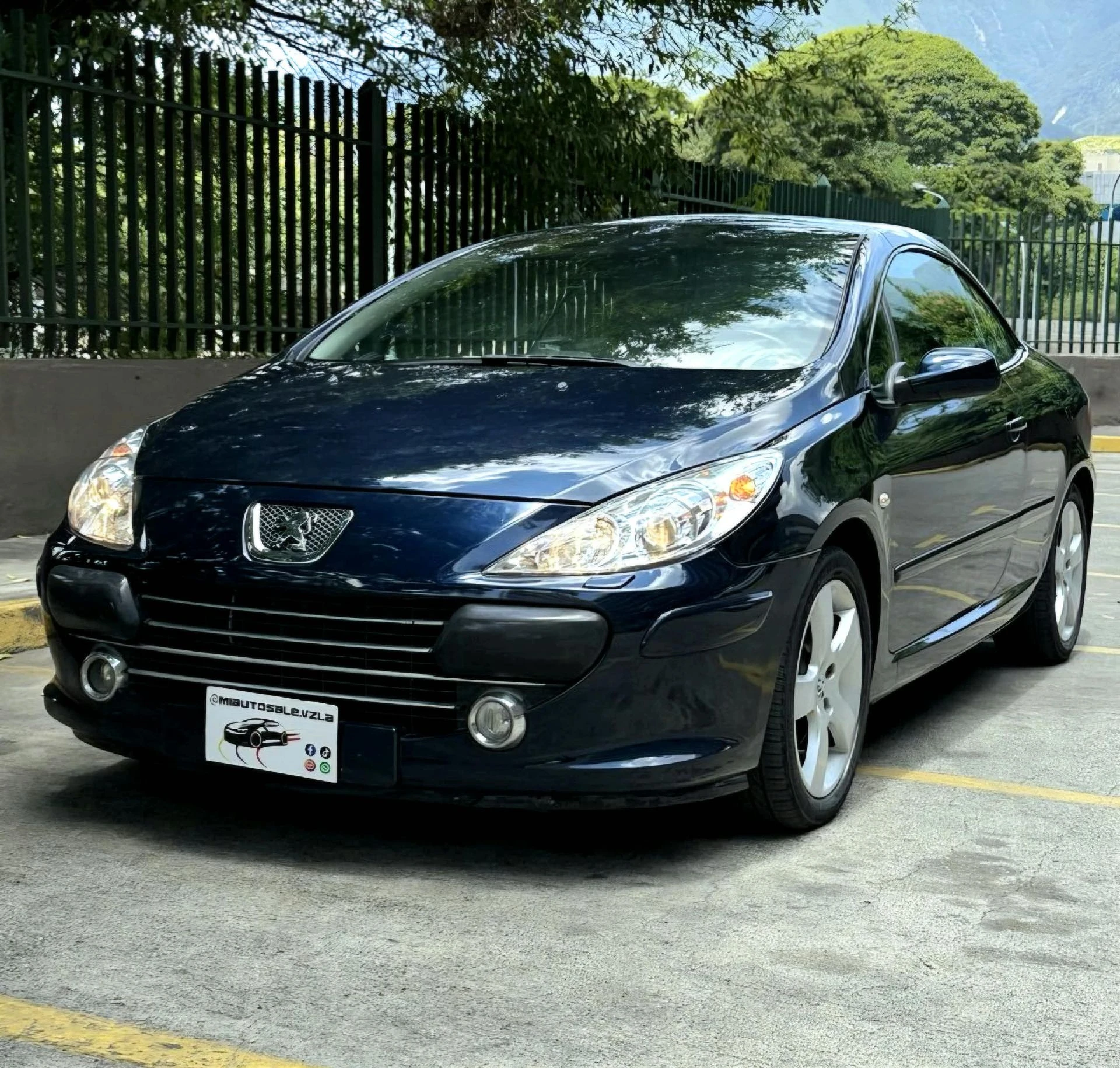 2008 Peugeot 307 SW Convertíble — foto 10