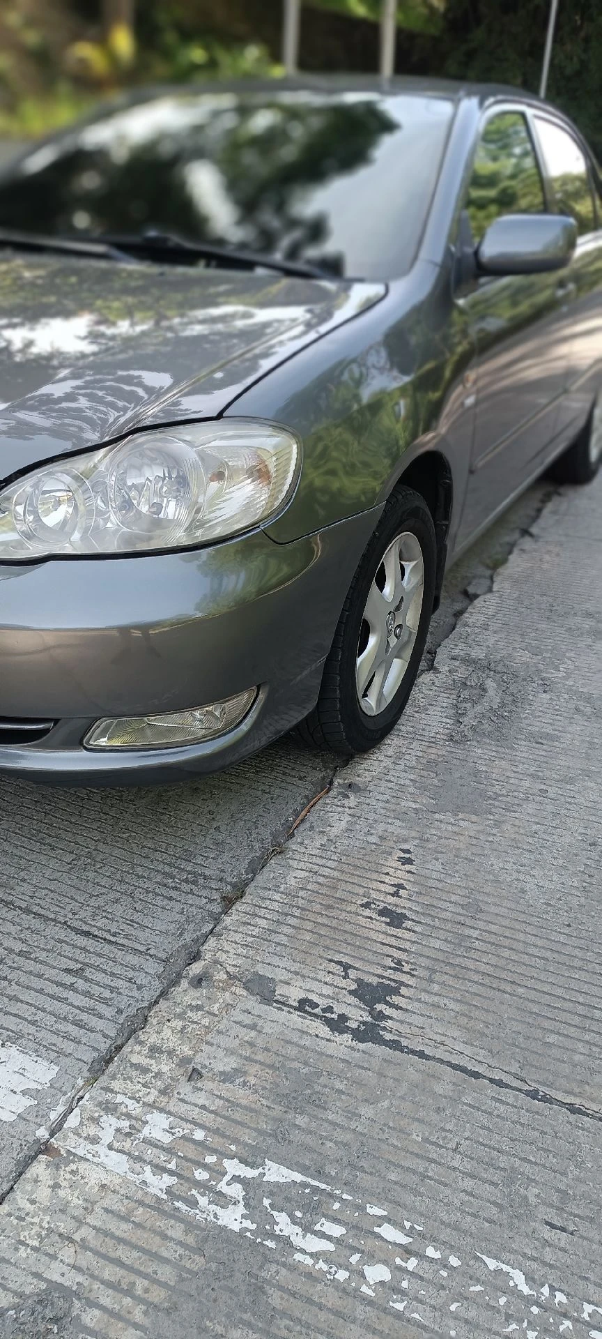 2008 Toyota Corolla Sensación XLI 1.6 — foto 6