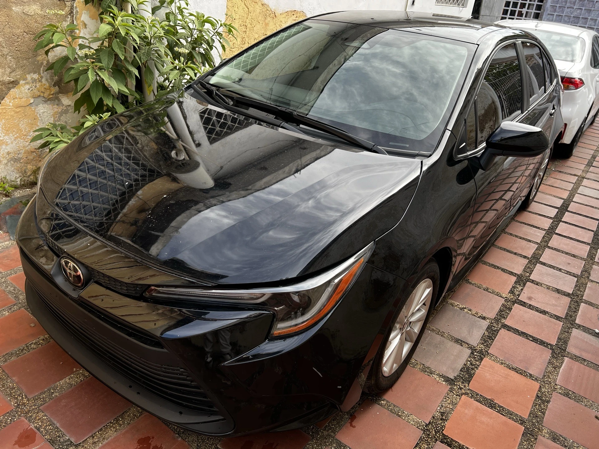 2024 Toyota Corolla LE — foto 2