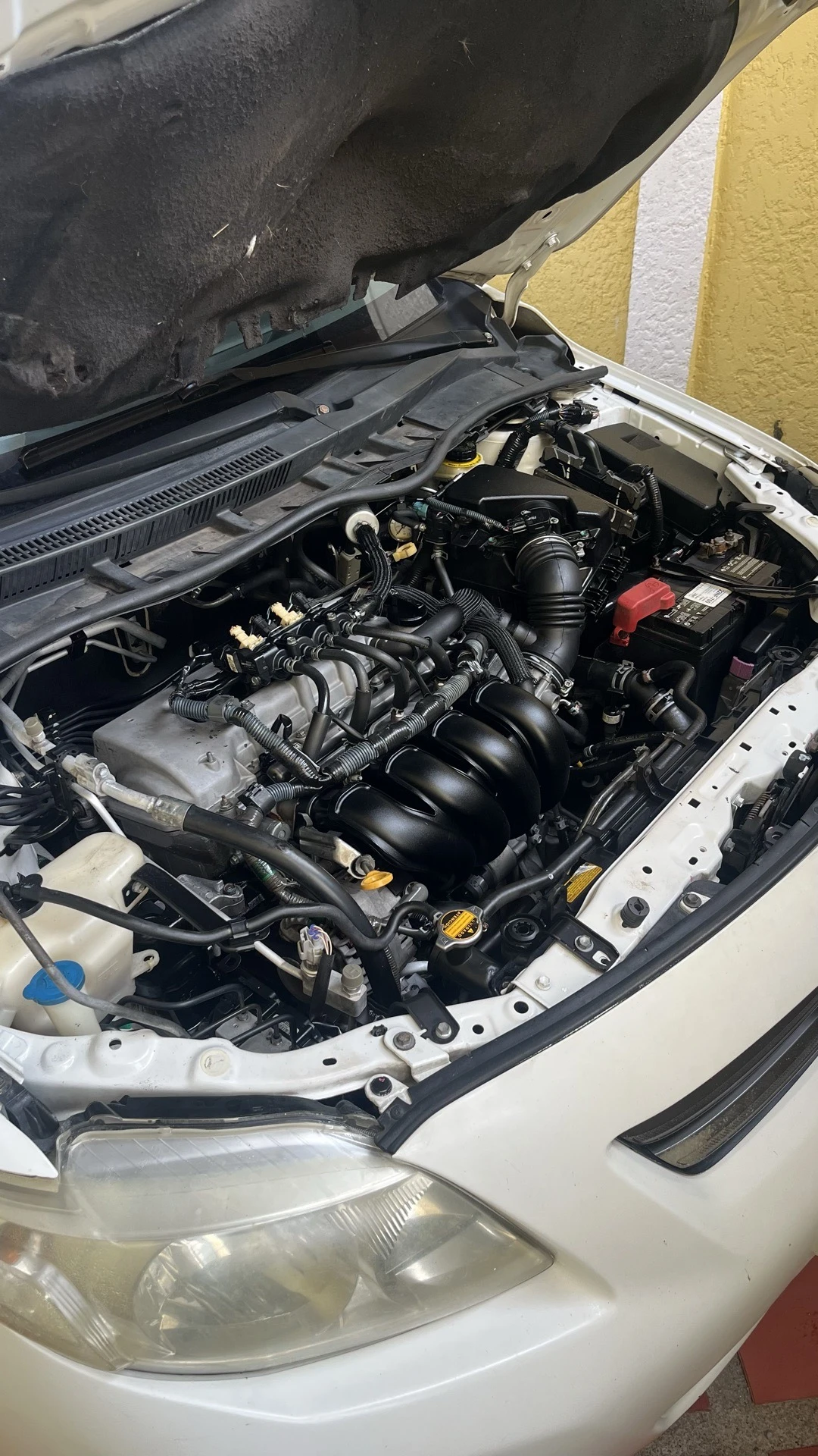 2010 Toyota Corolla XEI — foto 7