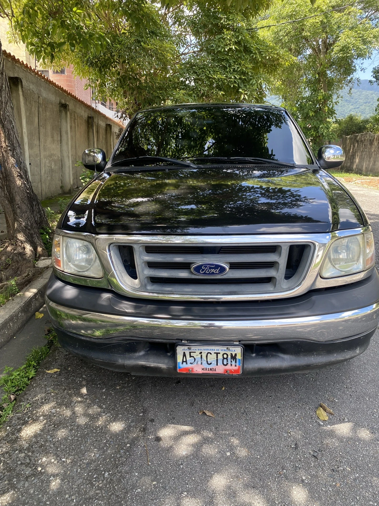 2008 Ford F-150 Xlt — foto 3