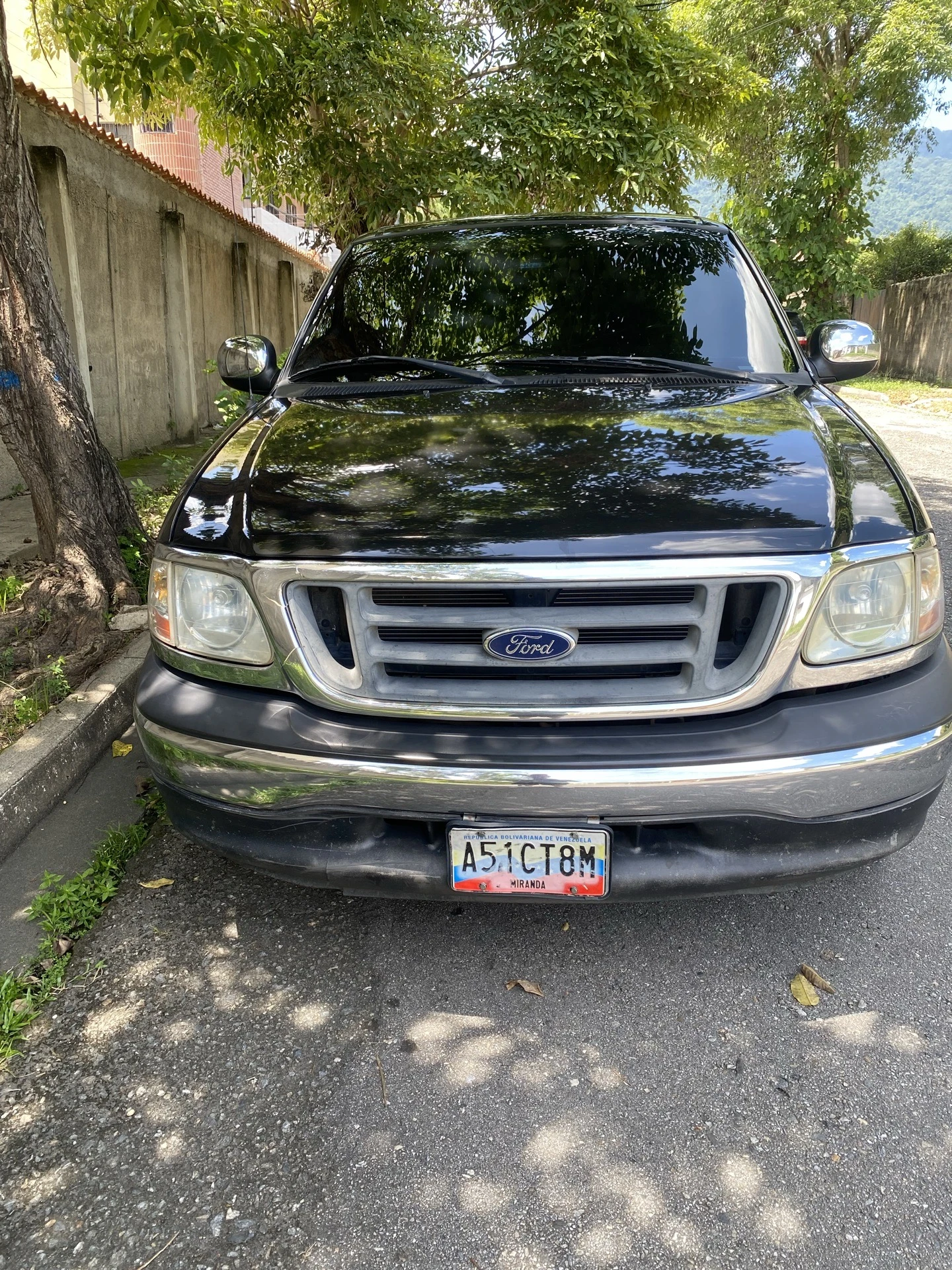 2008 Ford F-150 Xlt — foto 5