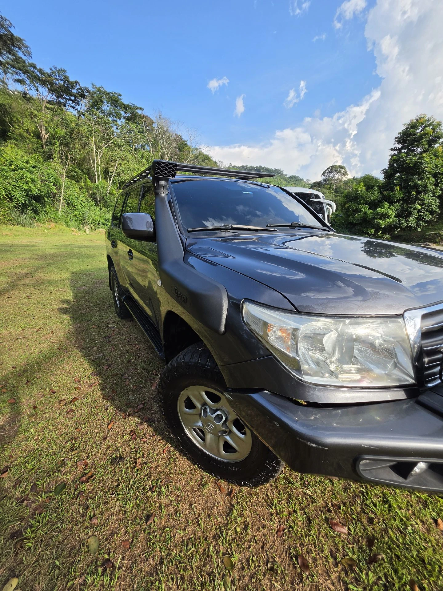 2008 Toyota Roraima Landcruiser 209 — foto 3